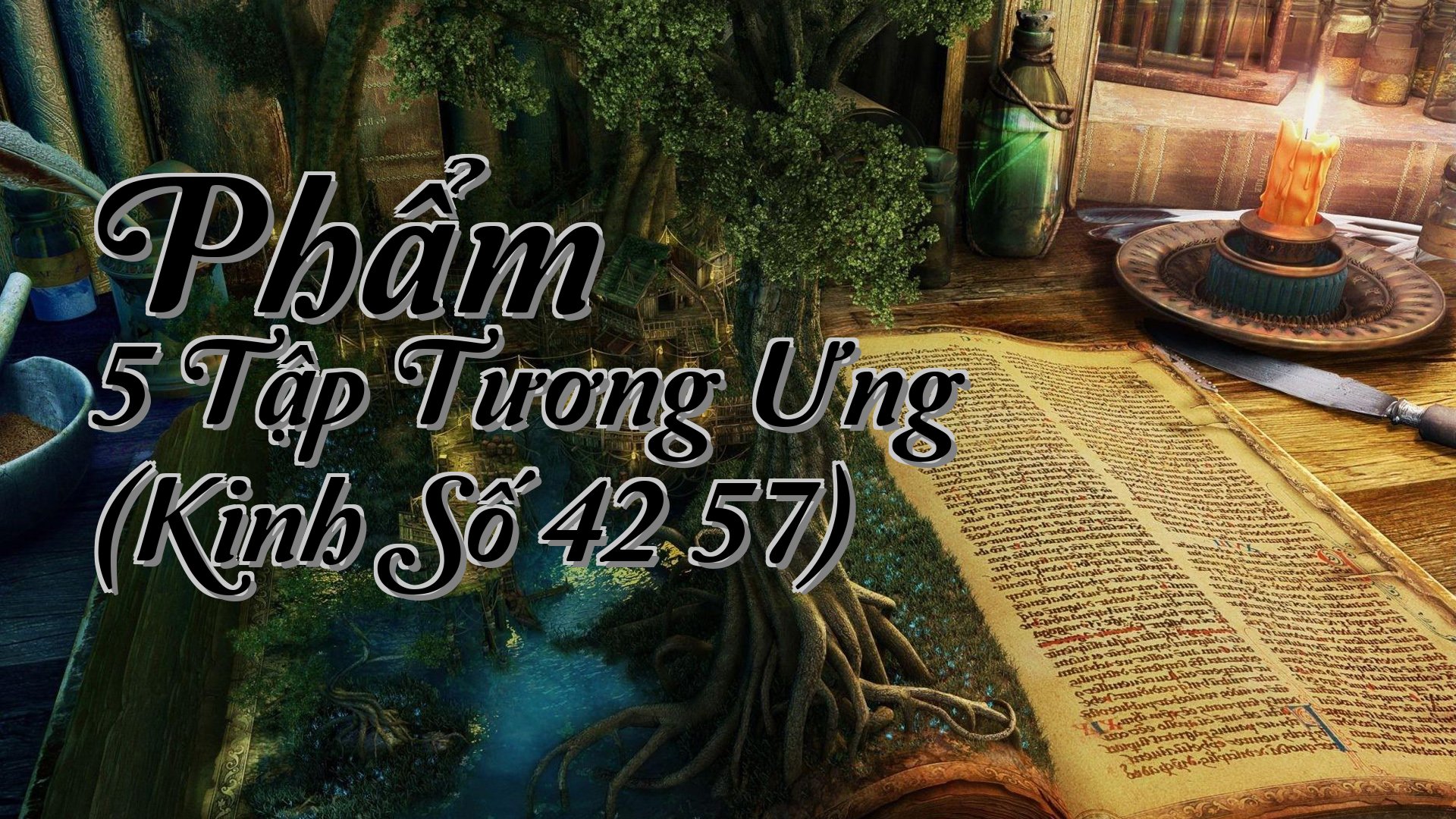 cover-Phẩm 5 Tập Tương Ưng (Kinh Số 42 57)