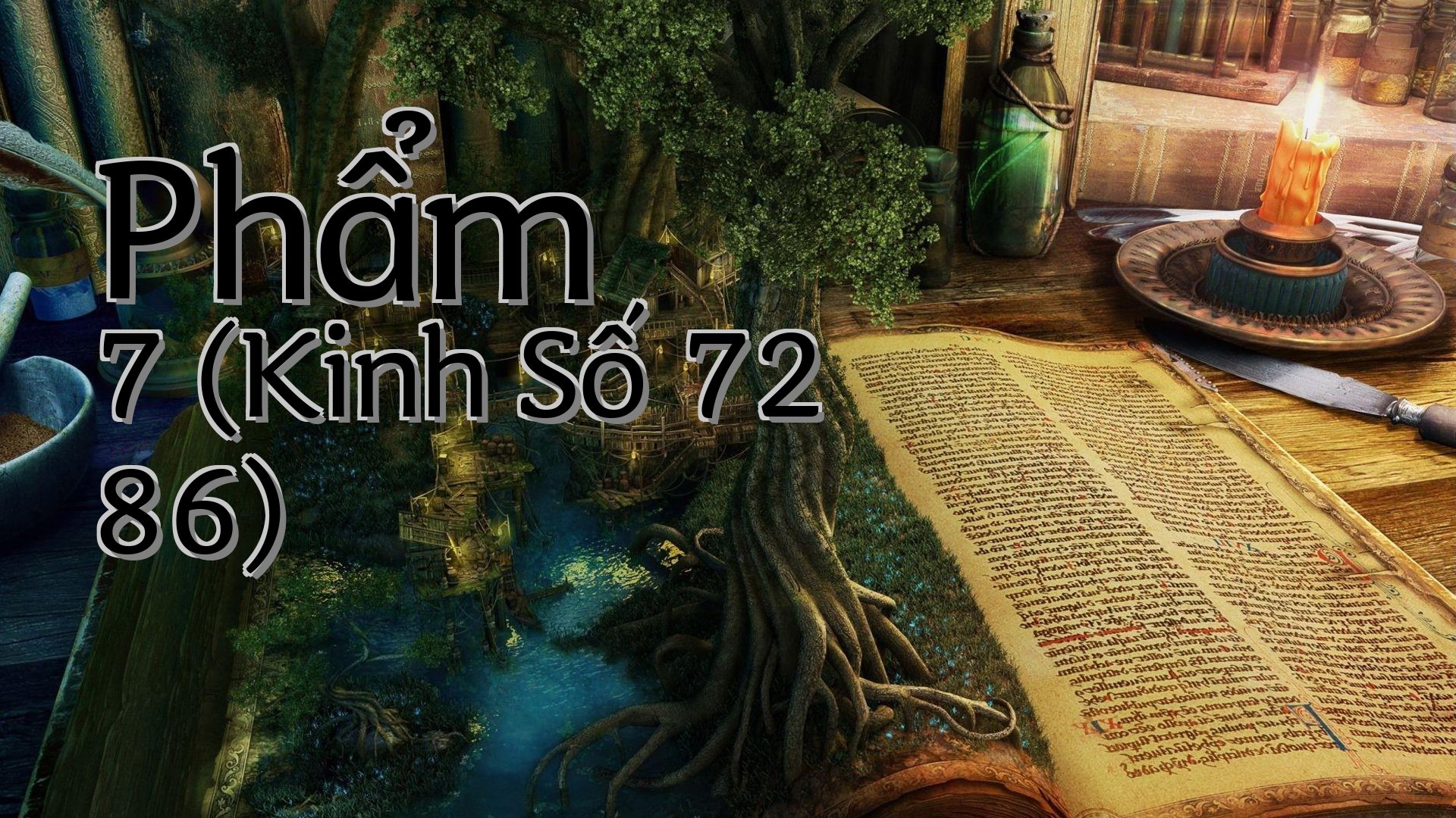 cover-Phẩm 7 (Kinh Số 72 86)