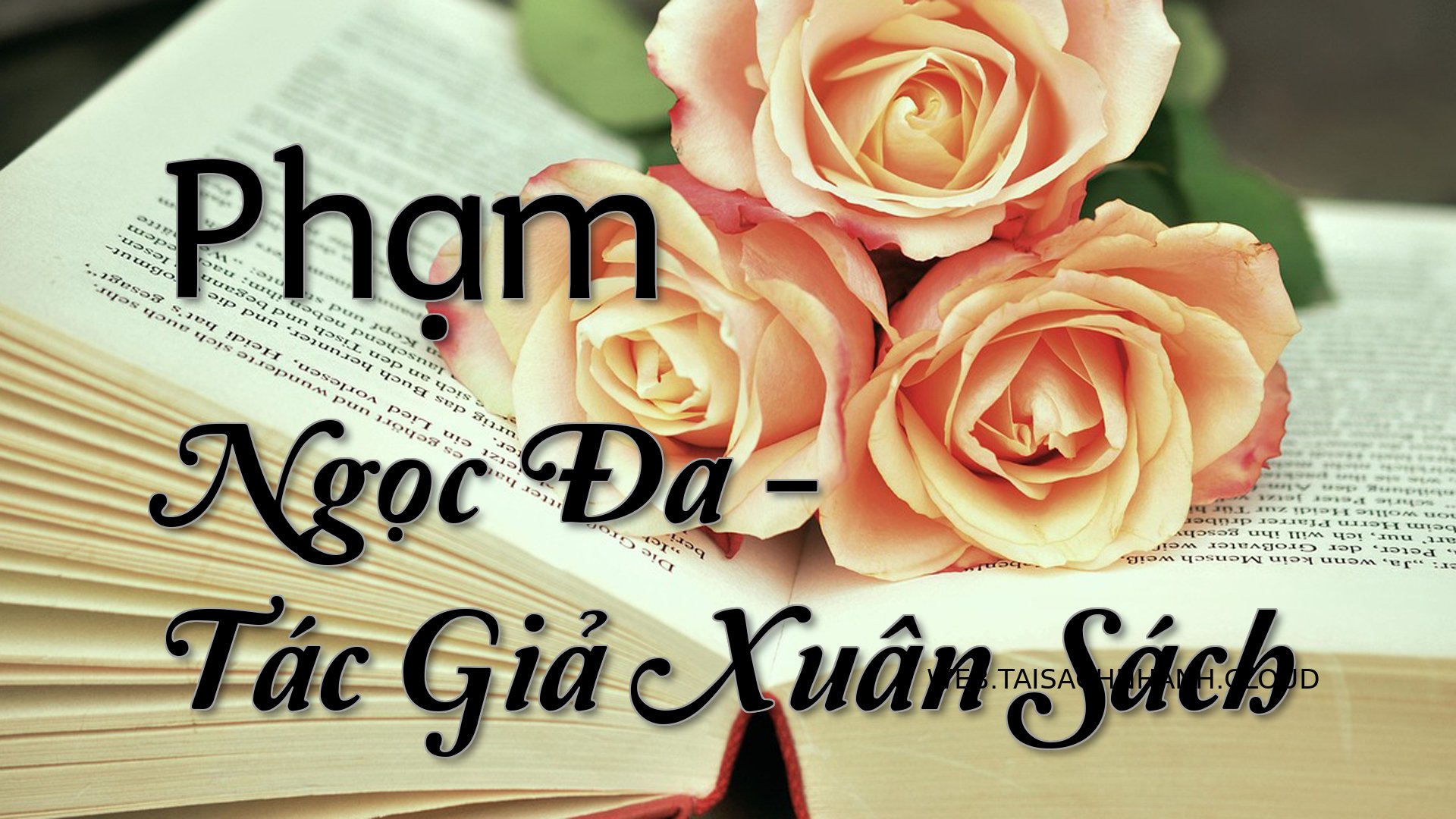 Cover Pham Ngoc Da.jpg