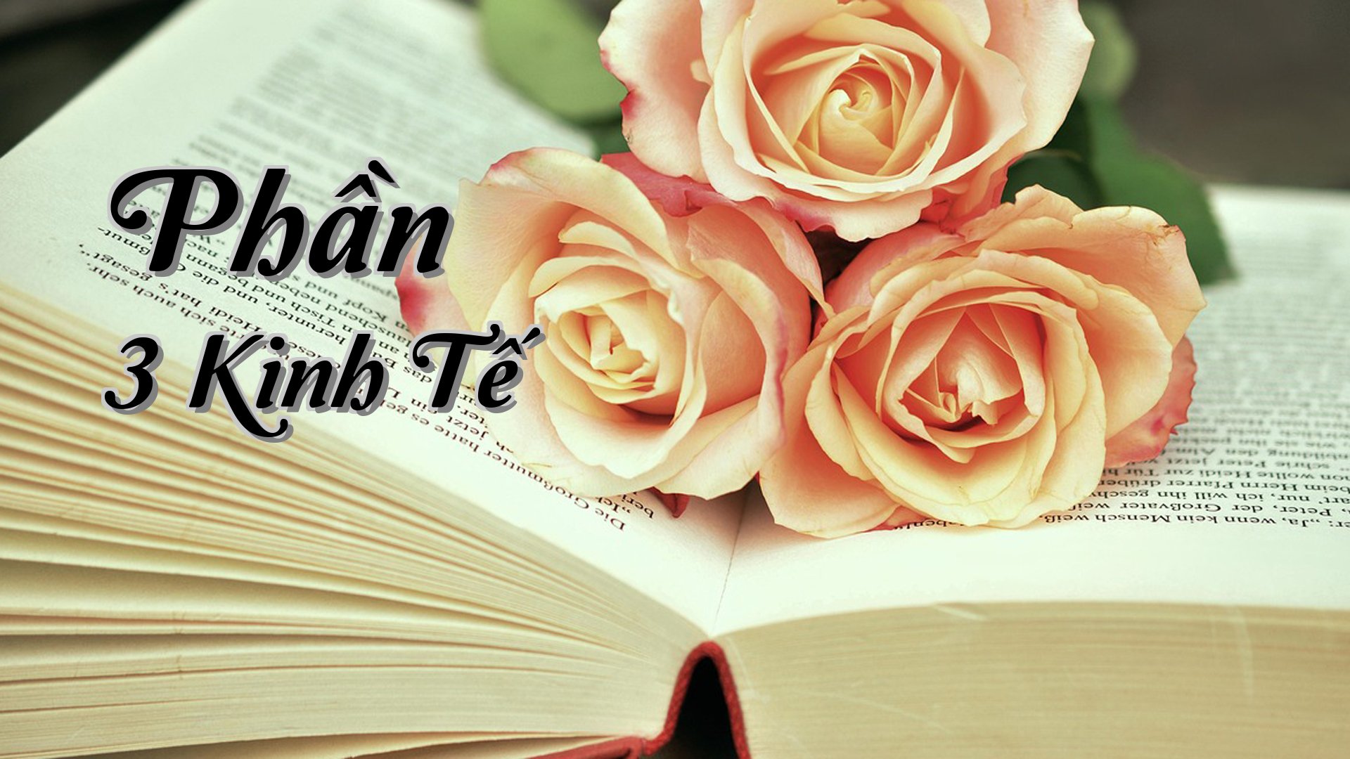 cover-Phần 3 Kinh Tế