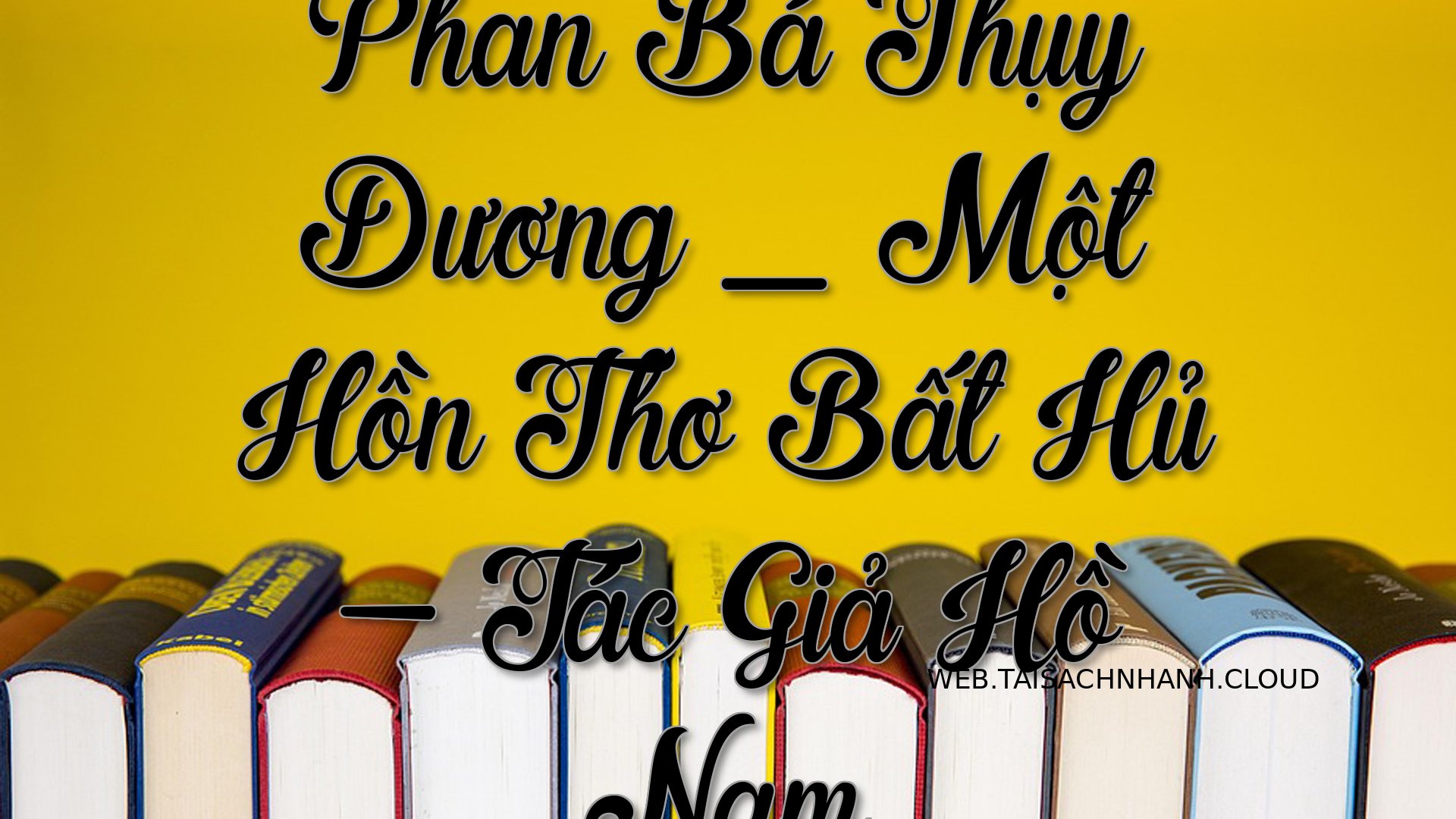 Cover Phan Ba Thuy Duong .jpg