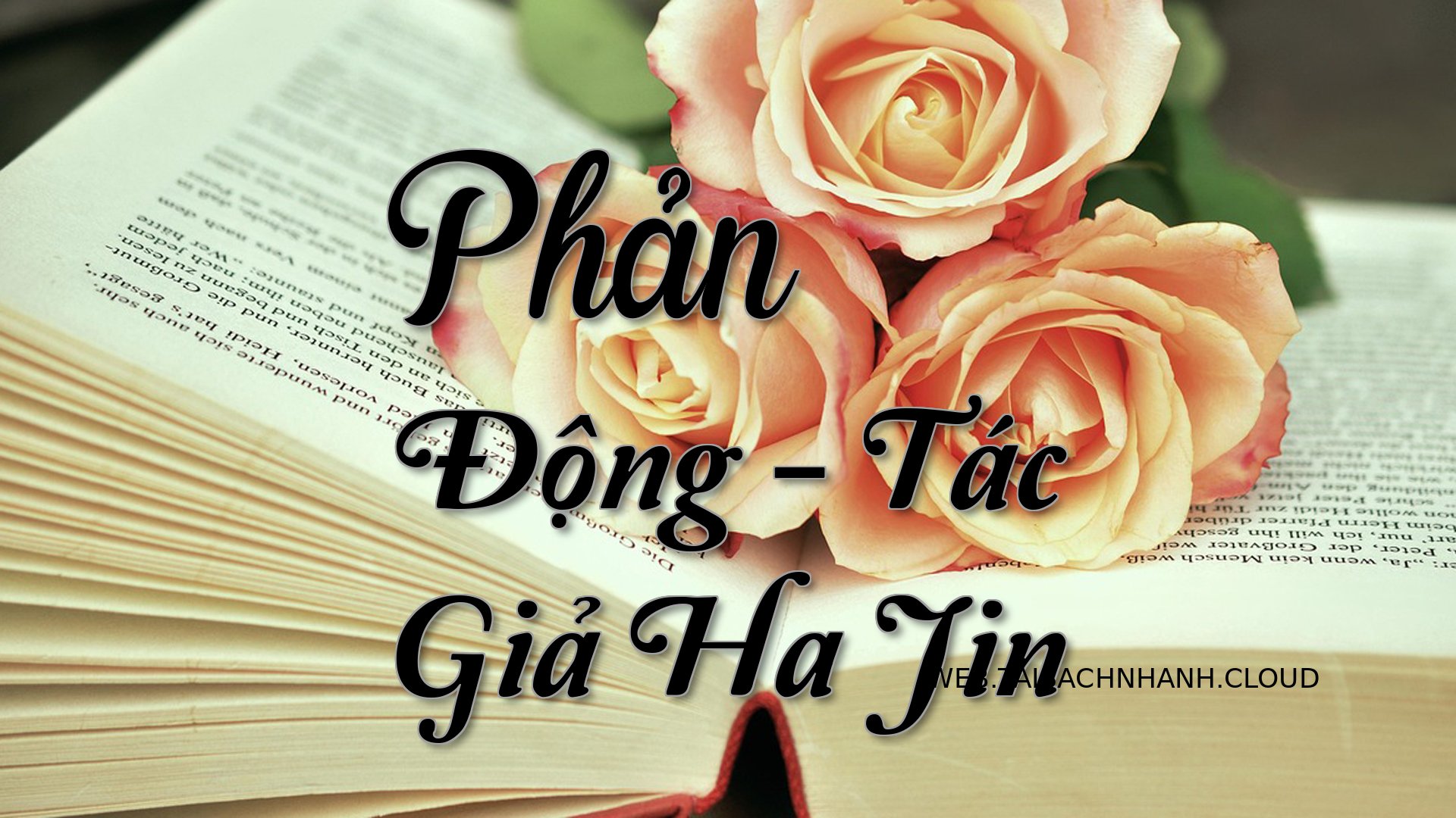 Cover Phan Dong.jpg