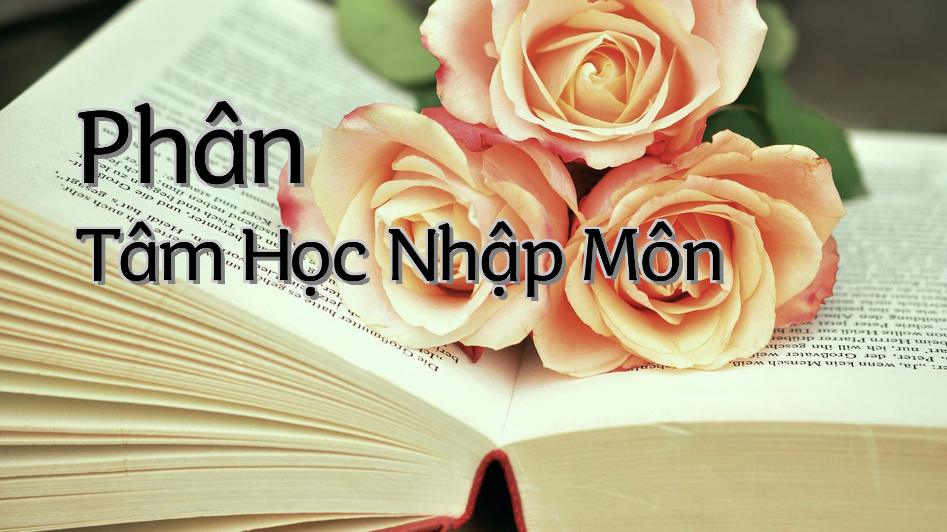 Cover image for Phân Tâm Học Nhập Môn