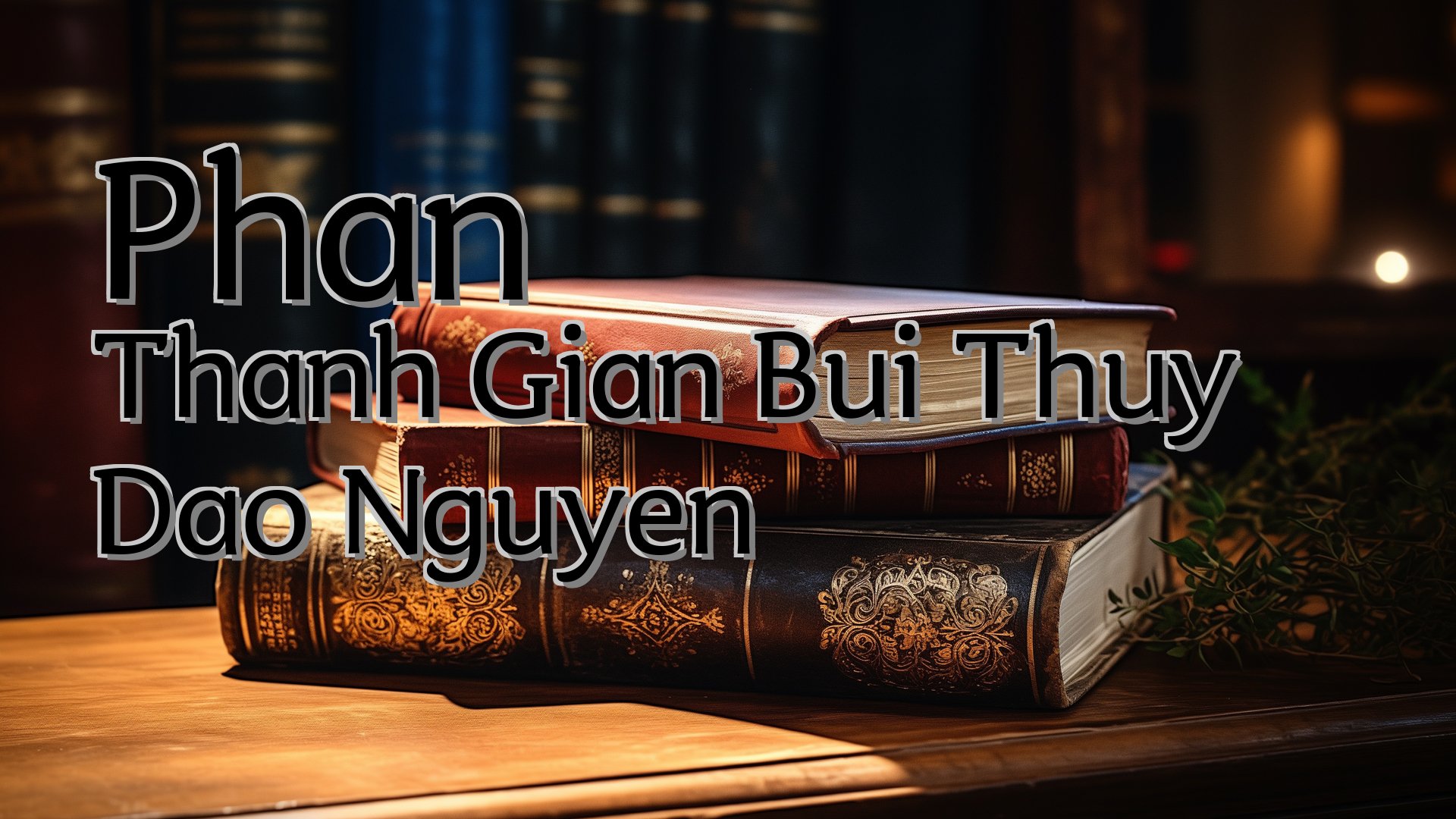 cover-Phan Thanh Gian Bui Thuy Dao Nguyen