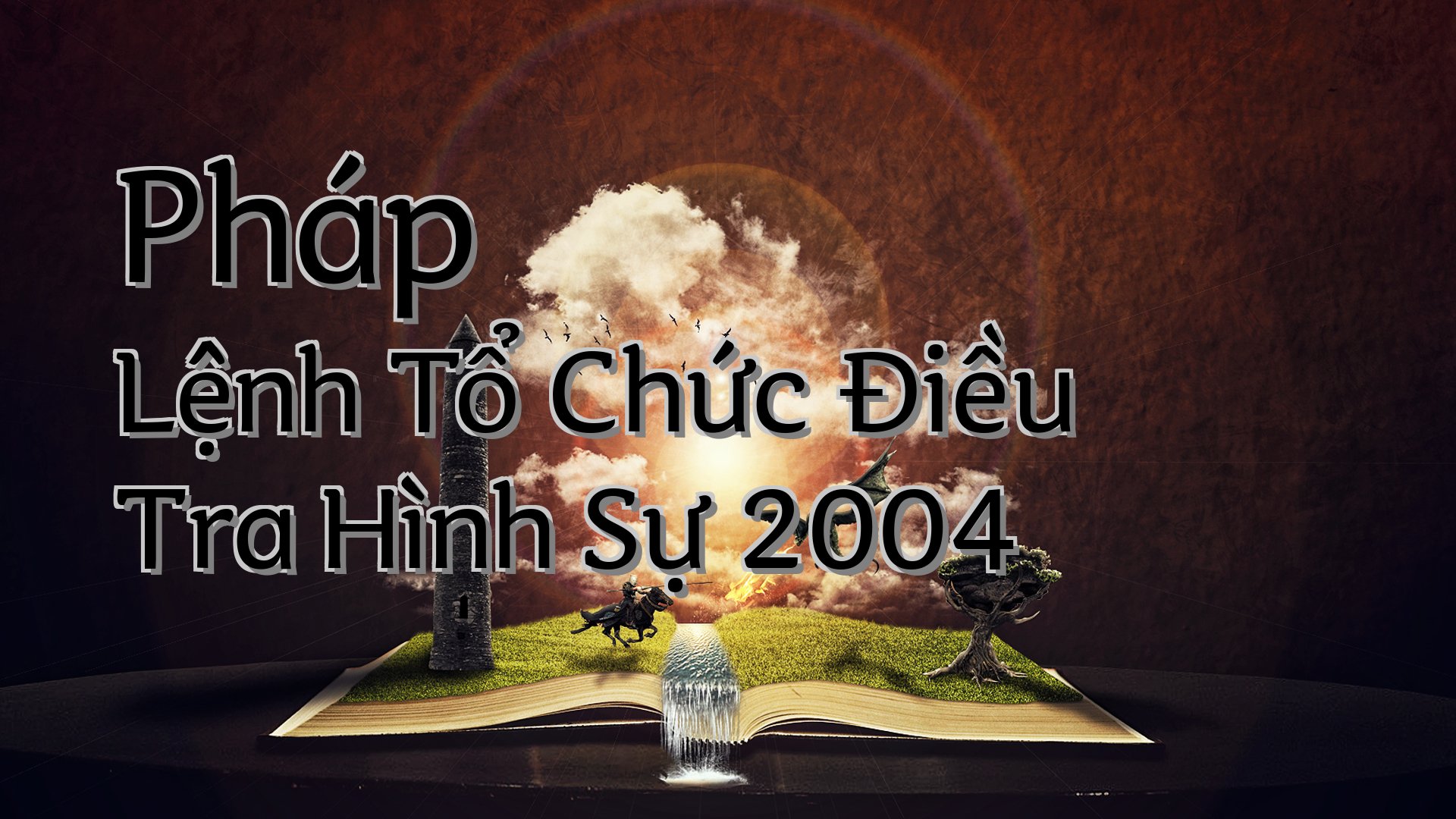 cover-Pháp Lệnh Tổ Chức Điều Tra Hình Sự 2004