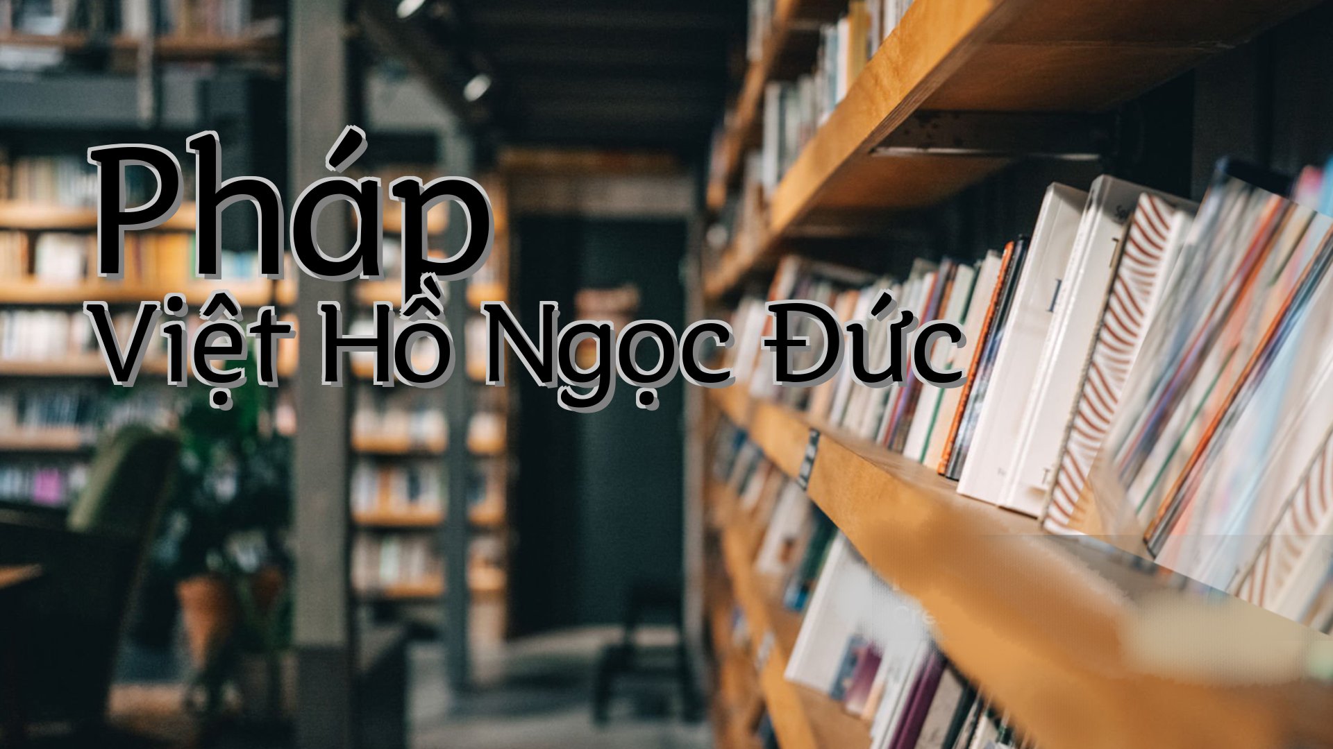 cover-Pháp Việt Hồ Ngọc Đức