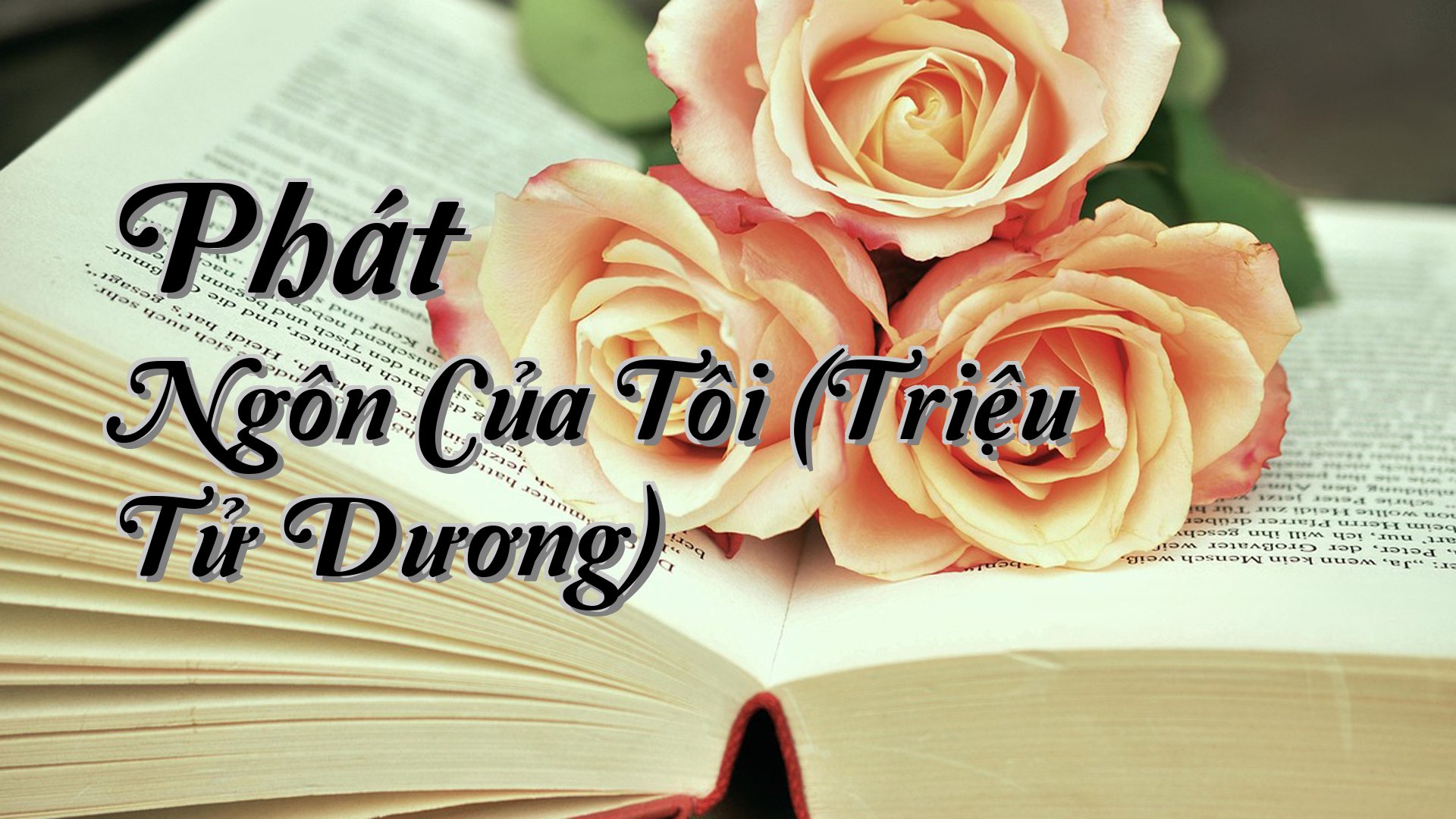 cover-Phát Ngôn Của Tôi (Triệu Tử Dương)