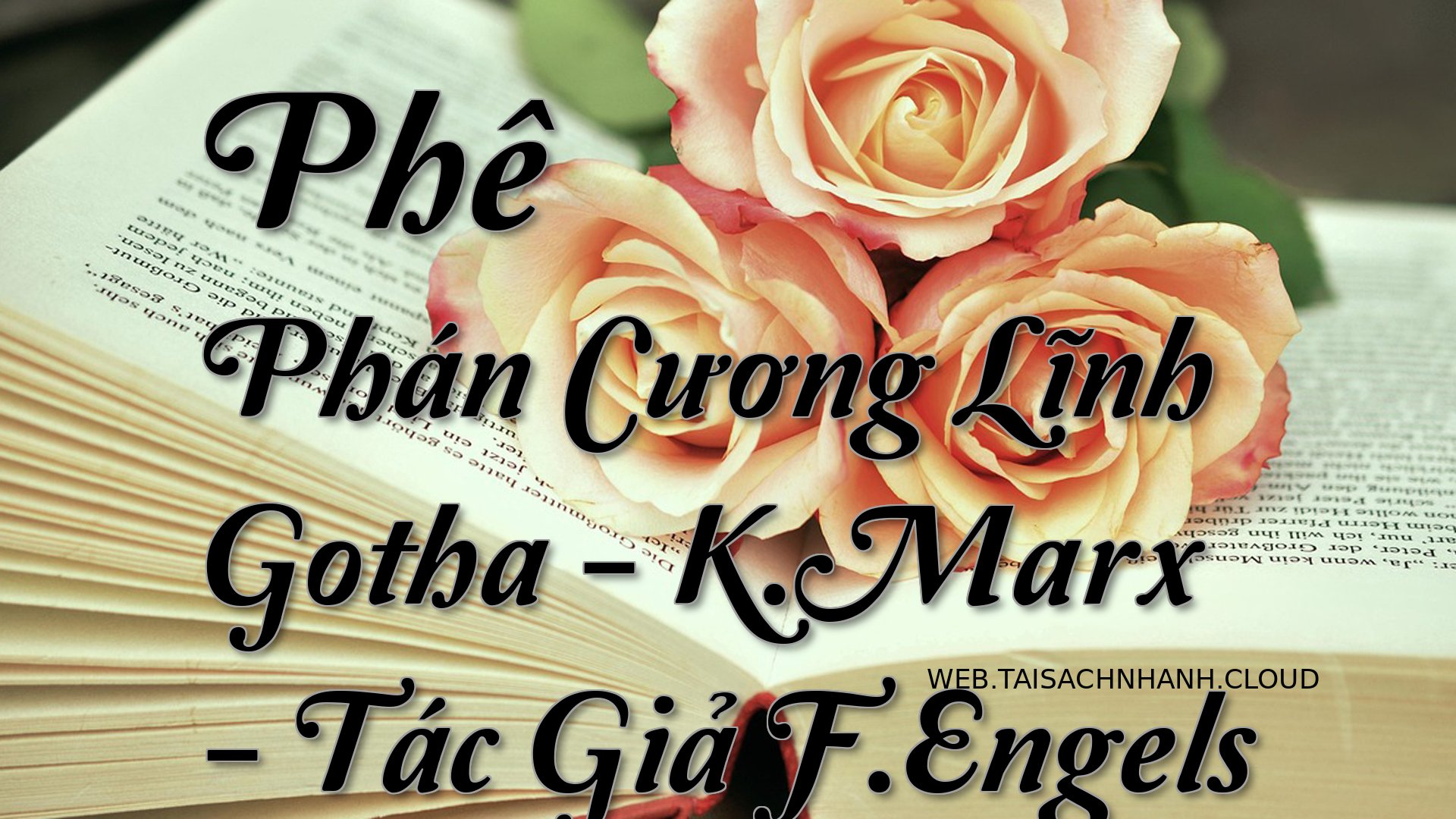 Cover Phe Phan Cuong Linh .jpg