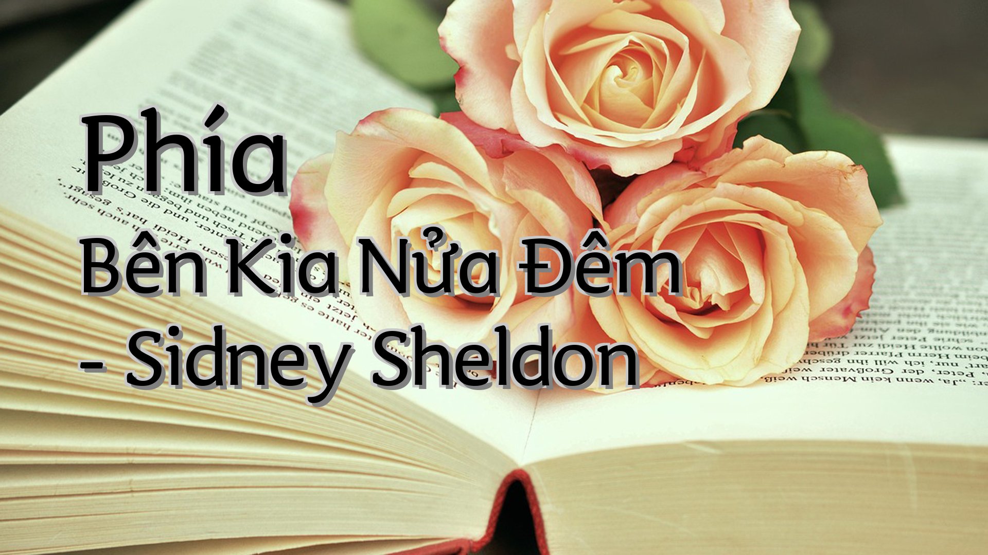 cover-Phía Bên Kia Nửa Đêm - Sidney Sheldon