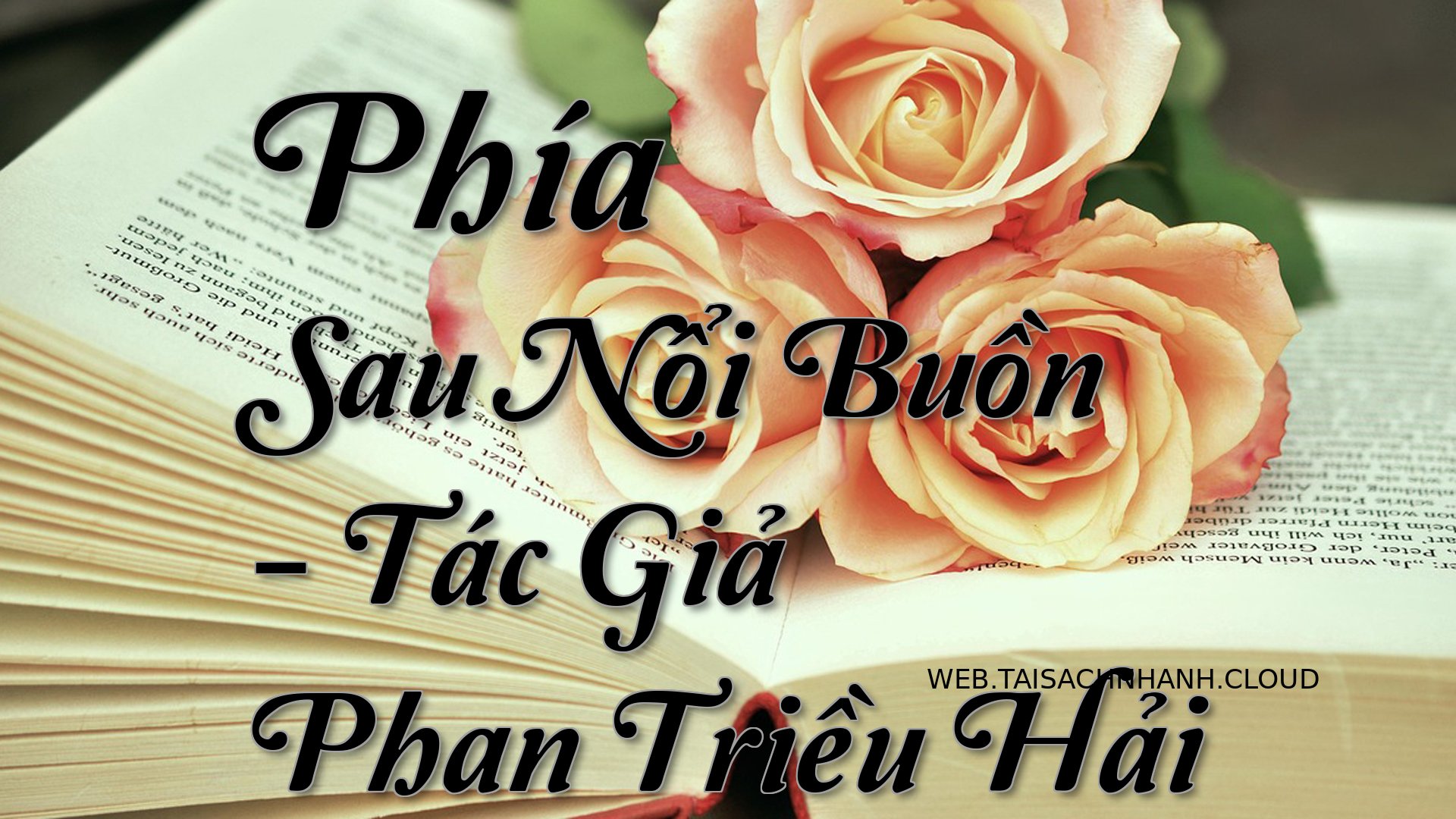 Cover Phia Sau Noi Buon.jpg
