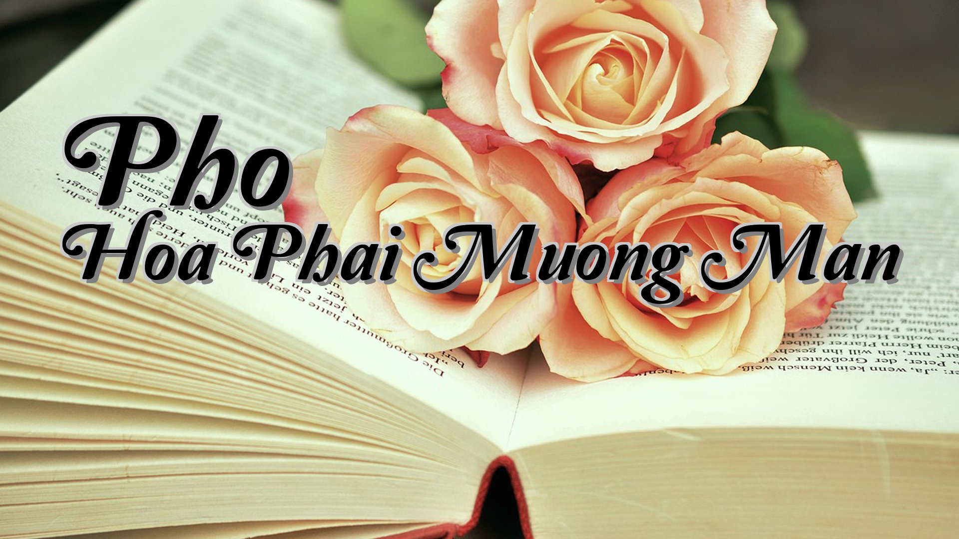 cover-Pho Hoa Phai Muong Man