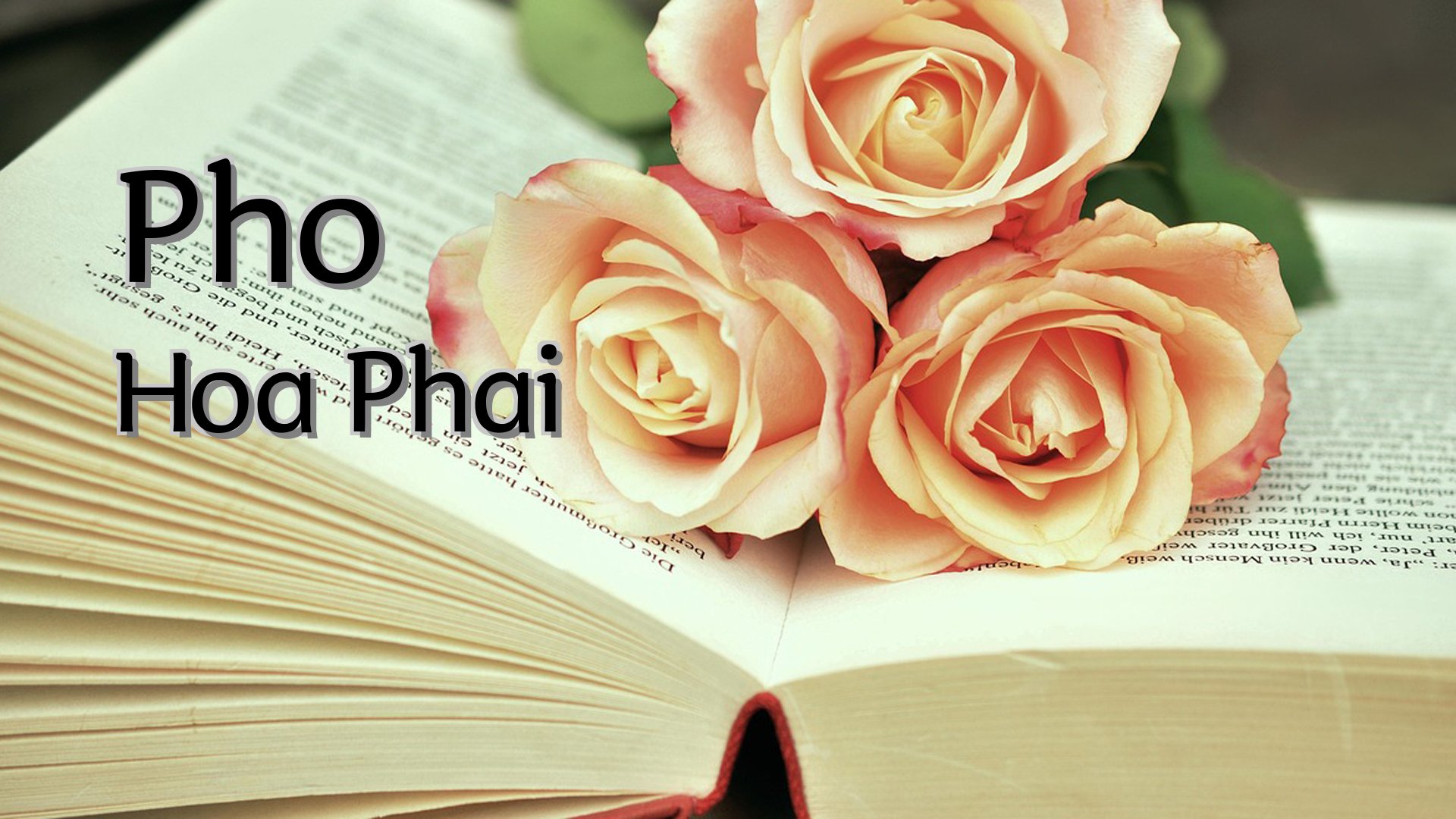 Cover image for Pho Hoa Phai