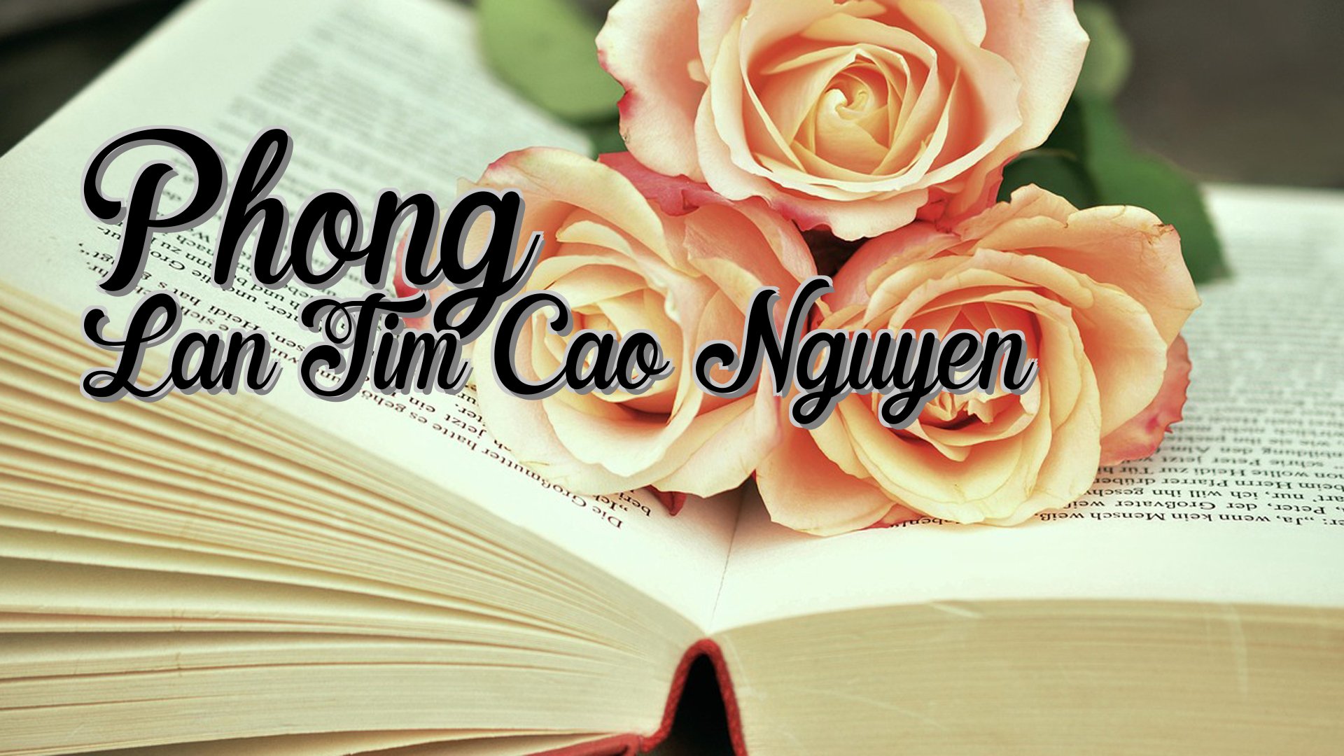 cover-Phong Lan Tim Cao Nguyen