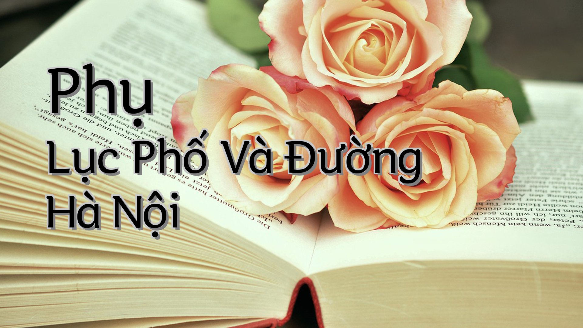 cover-Phụ Lục Phố Và Đường Hà Nội