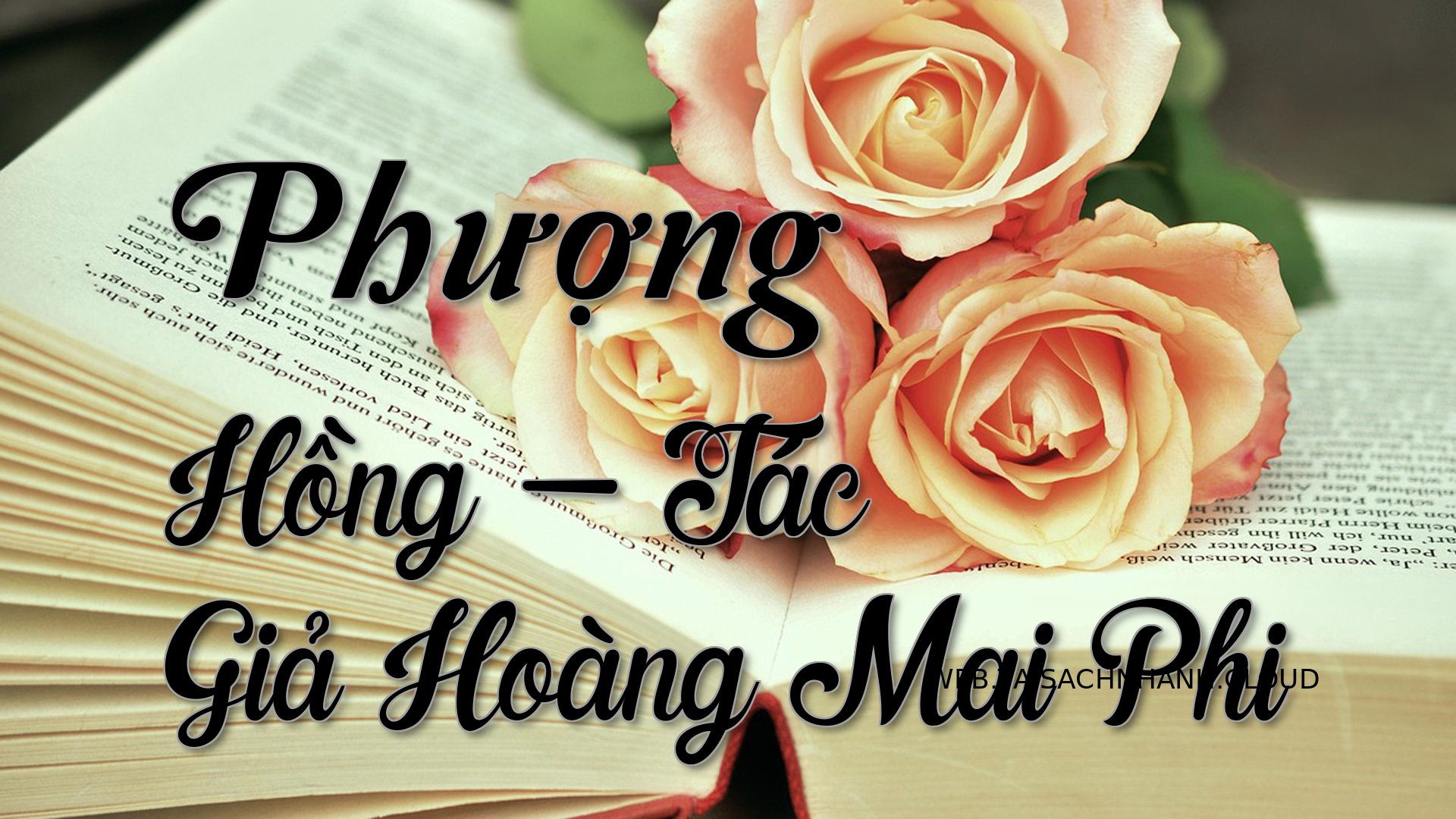 Cover Phuong Hong.jpg