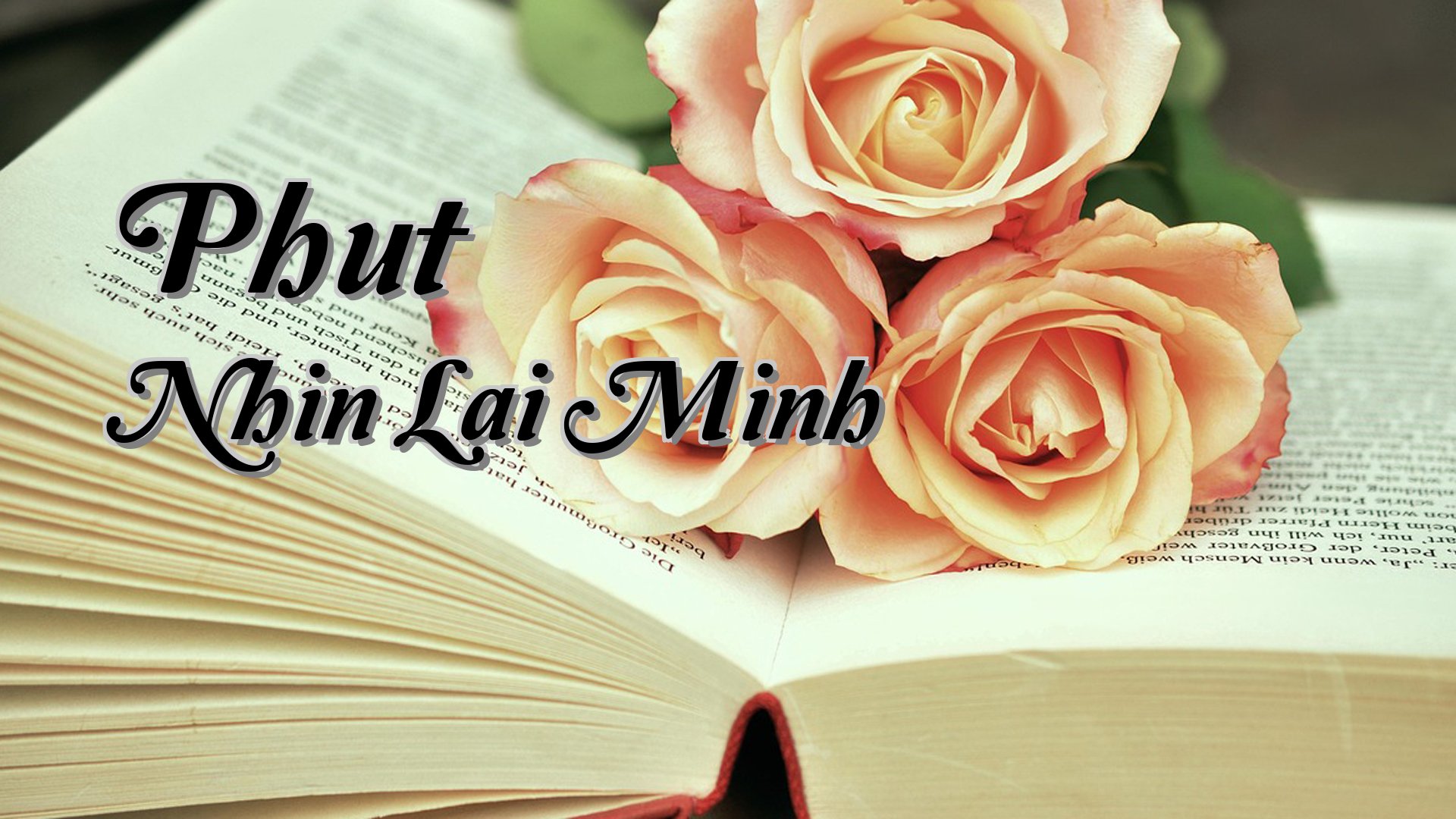 cover-Phut Nhin Lai Minh