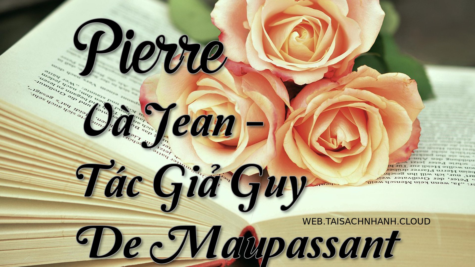 Cover Pierre Va Jean.jpg