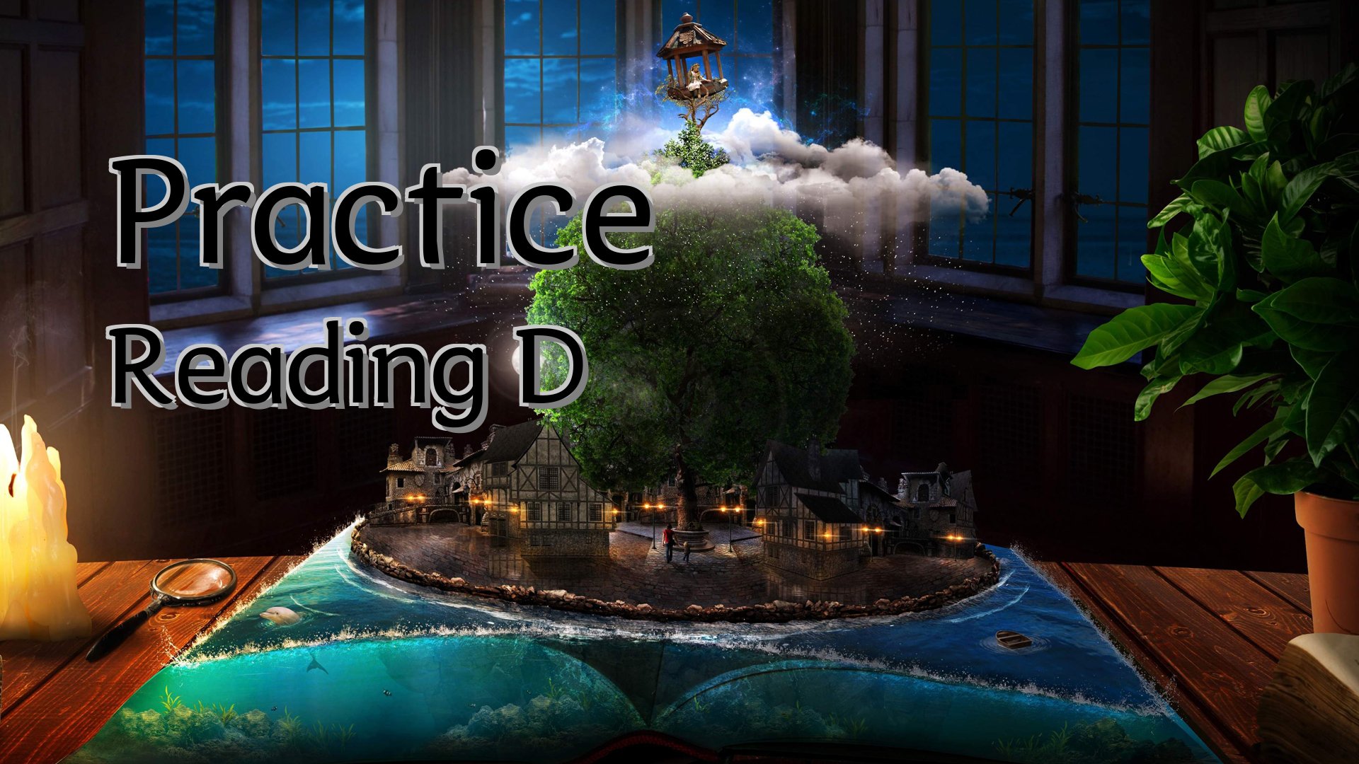 cover-Practice Reading D