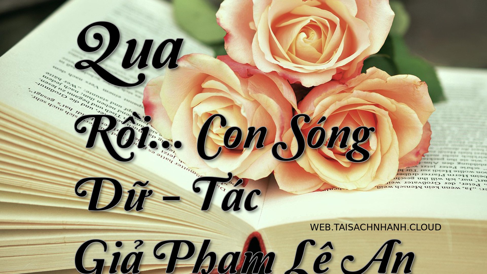 Cover Qua Roi. Con Song .jpg