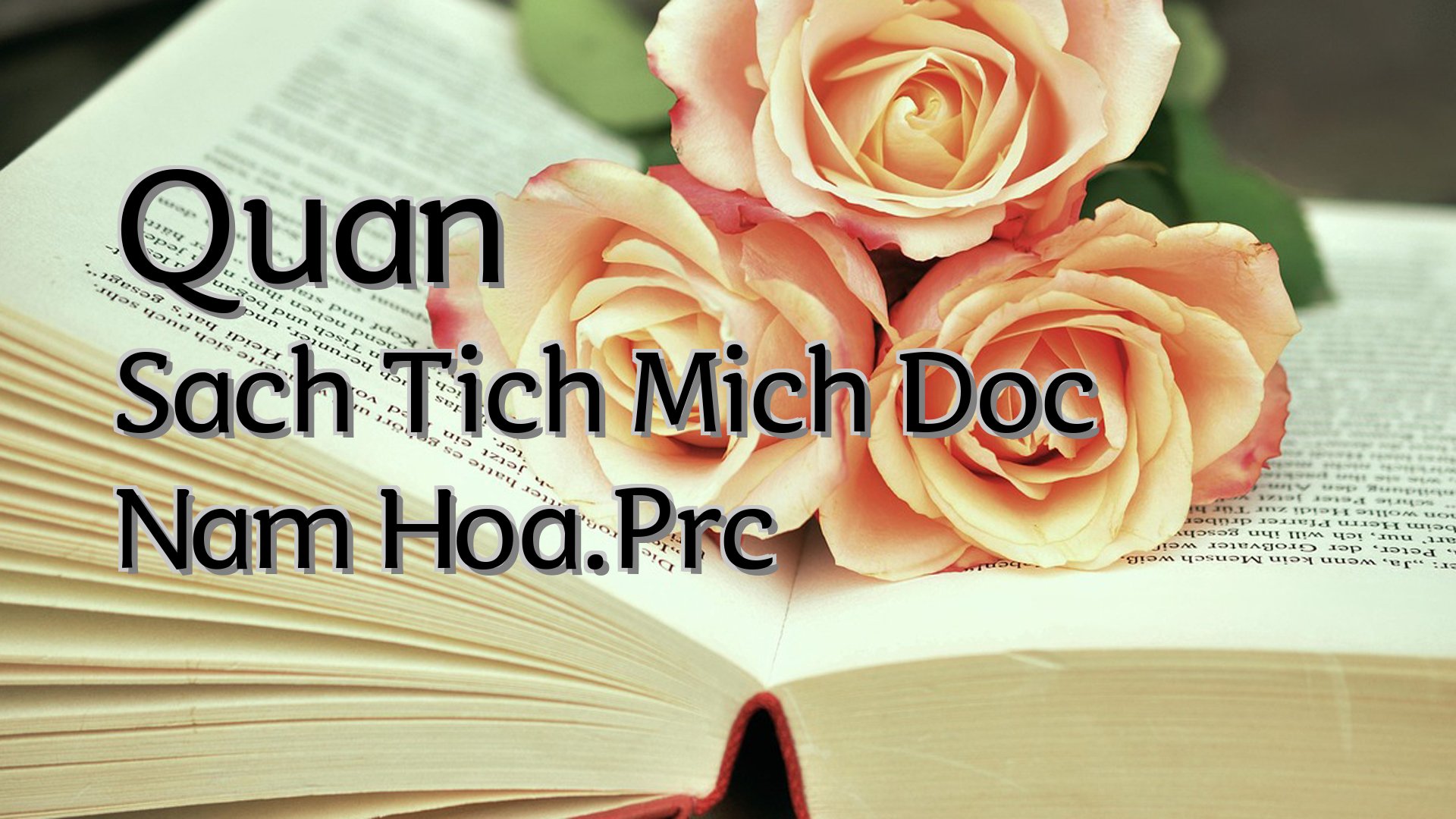 Cover image for Quan Sach Tich Mich Doc Nam Hoa.Prc