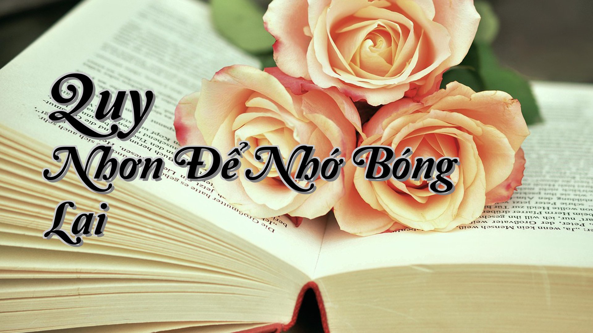 cover-Quy Nhơn Để Nhớ Bóng Lai