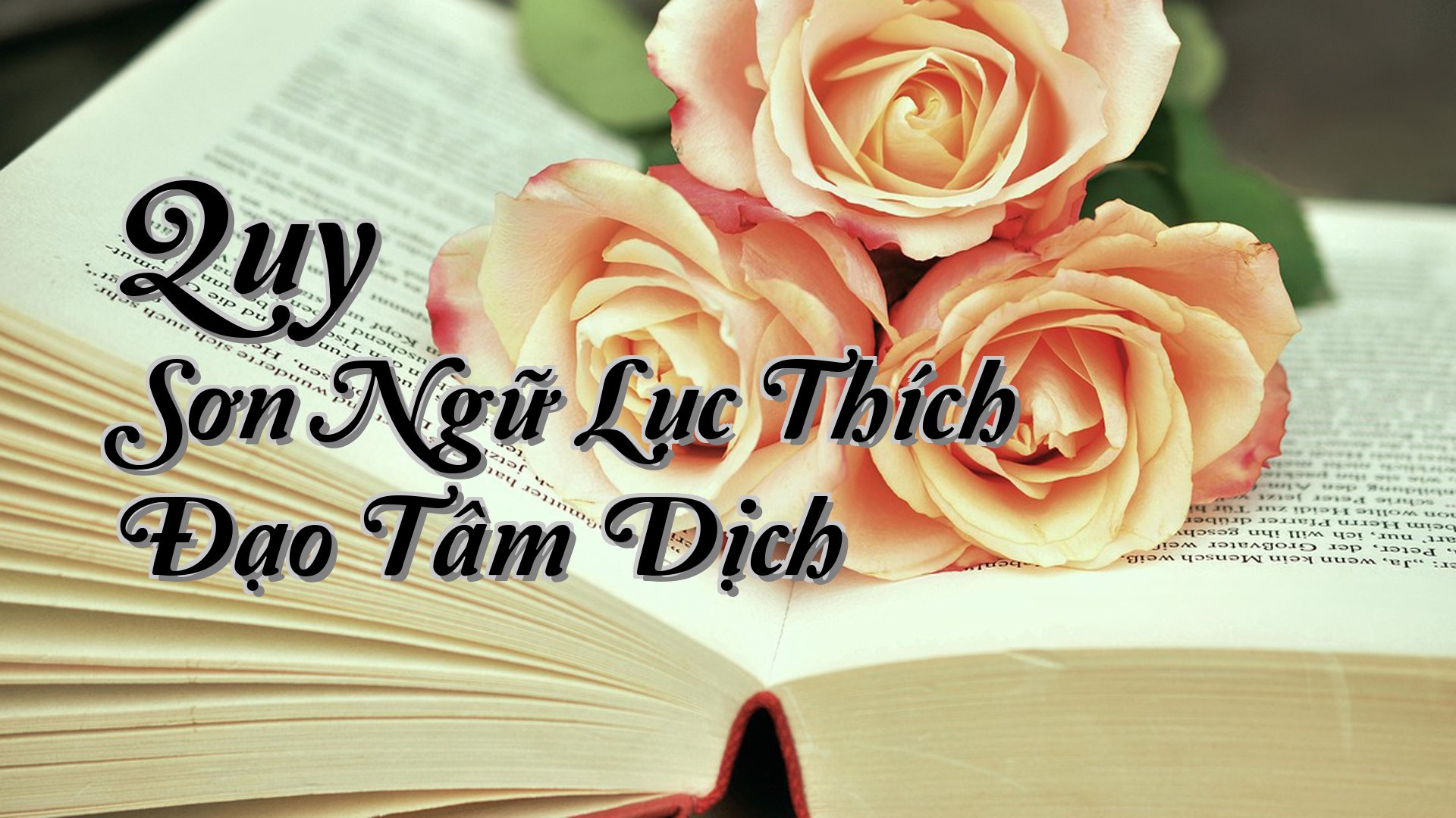 cover-Quy Sơn Ngữ Lục Thích Đạo Tâm Dịch