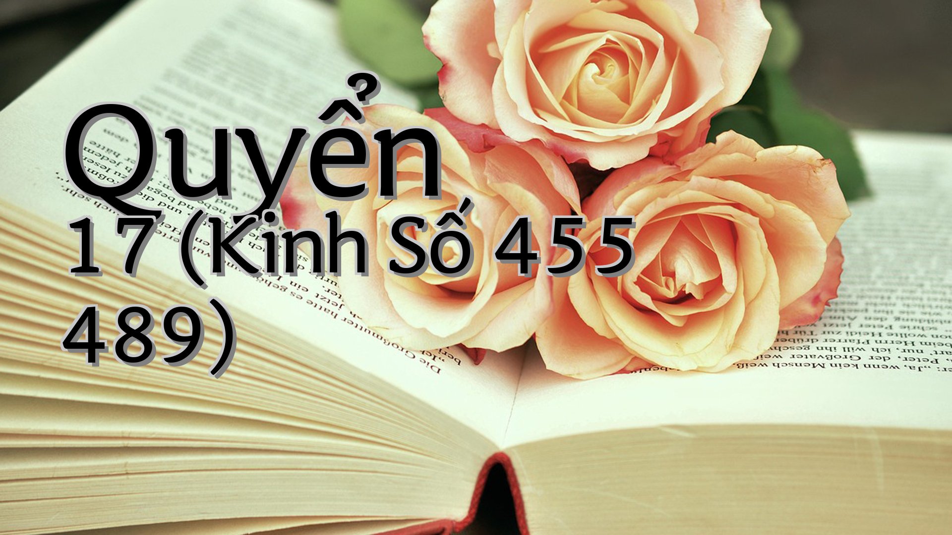 cover-Quyển 17 (Kinh Số 455 489)