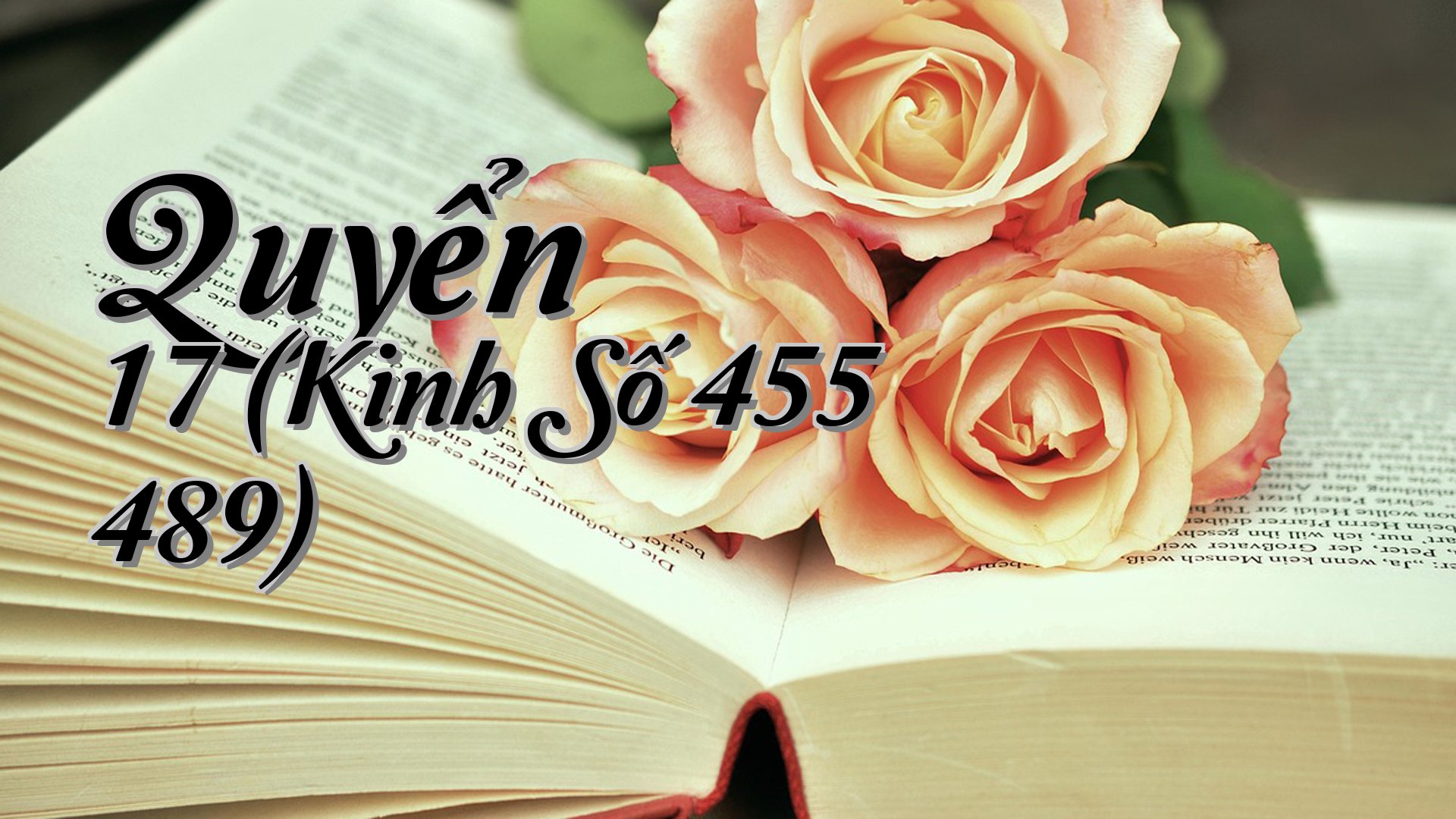 cover-Quyển 17 (Kinh Số 455 489)