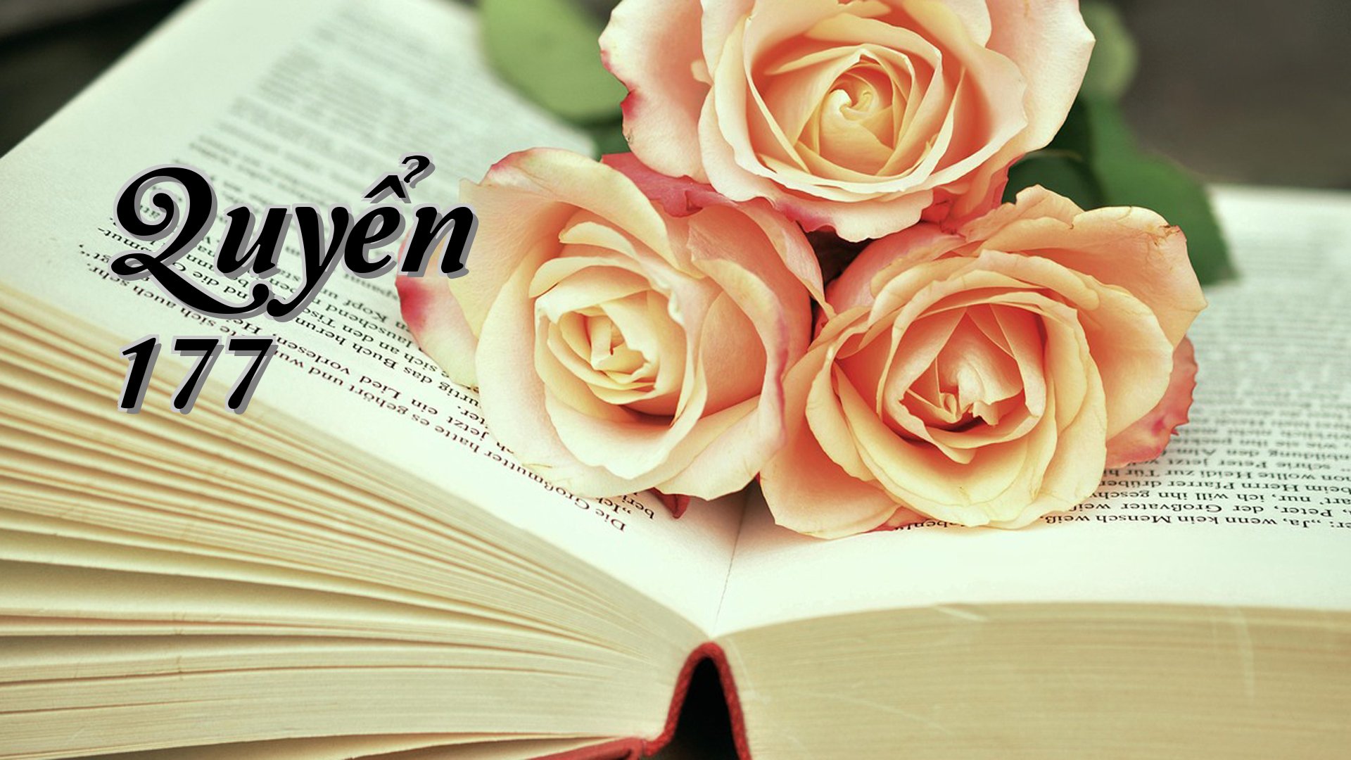 cover-Quyển 177