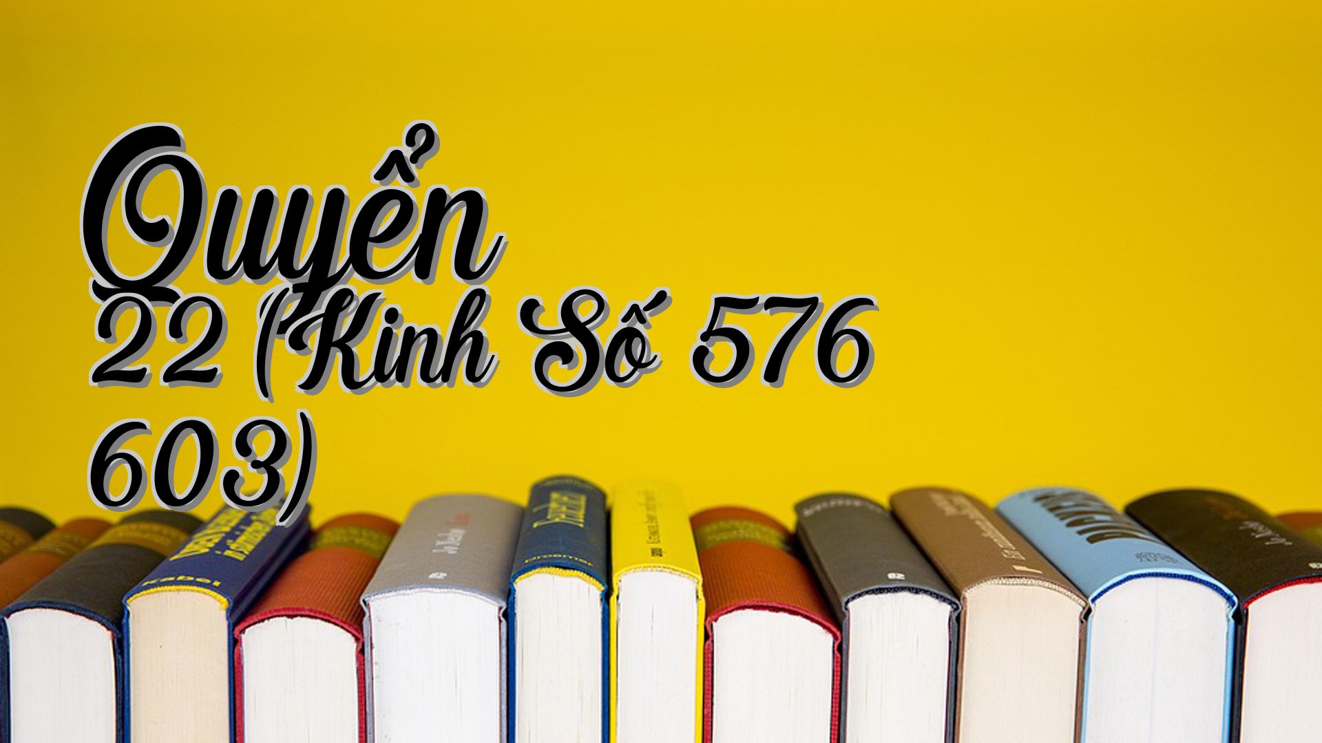 cover-Quyển 22 (Kinh Số 576 603)