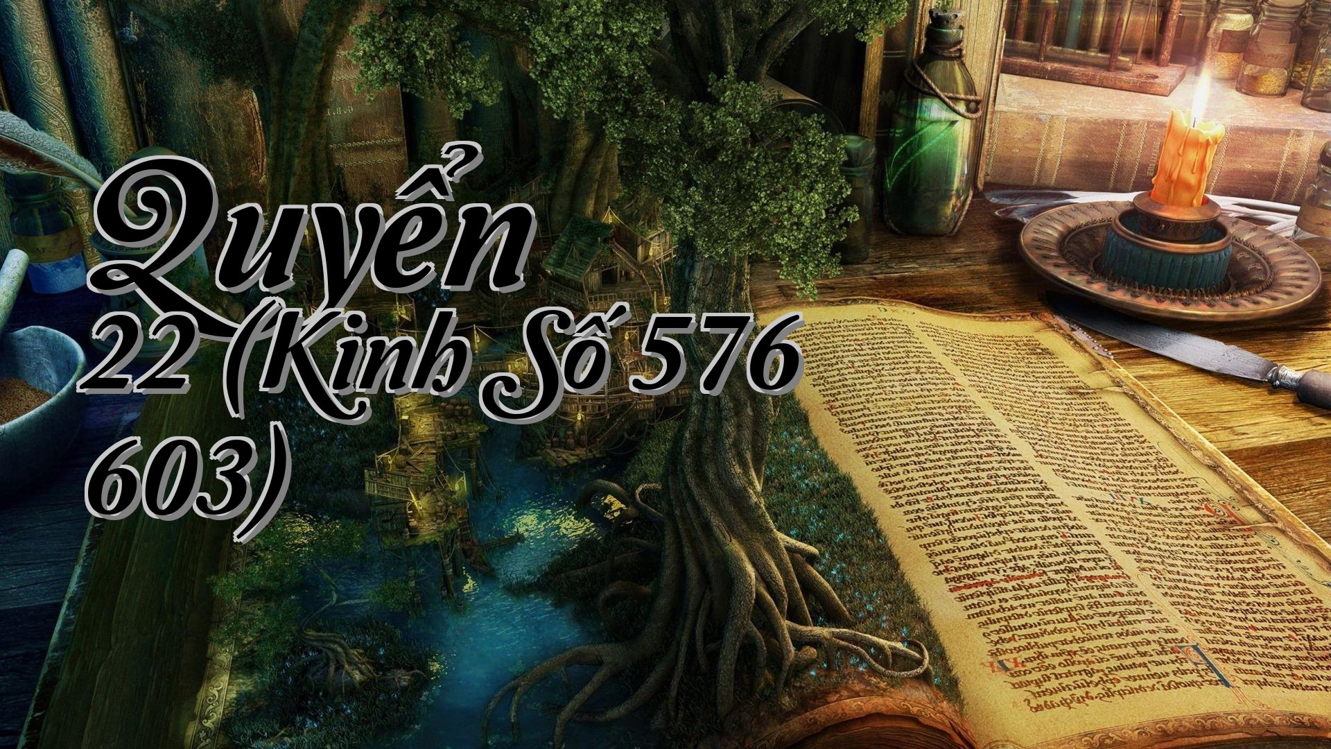 cover-Quyển 22 (Kinh Số 576 603)
