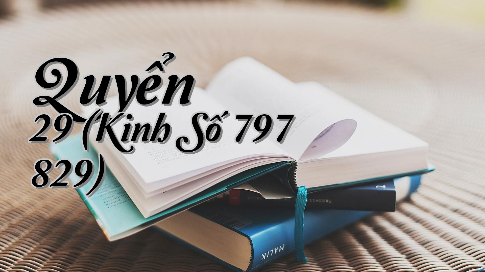 cover-Quyển 29 (Kinh Số 797 829)