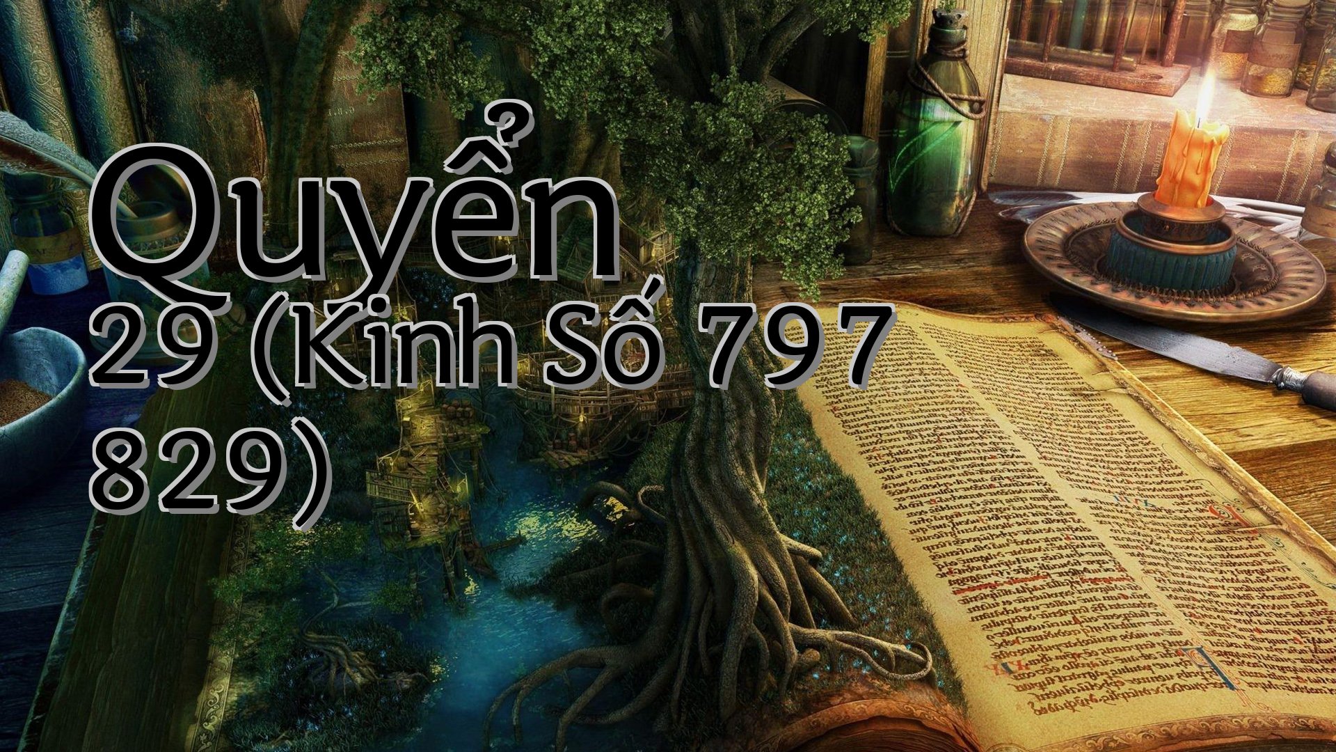 cover-Quyển 29 (Kinh Số 797 829)