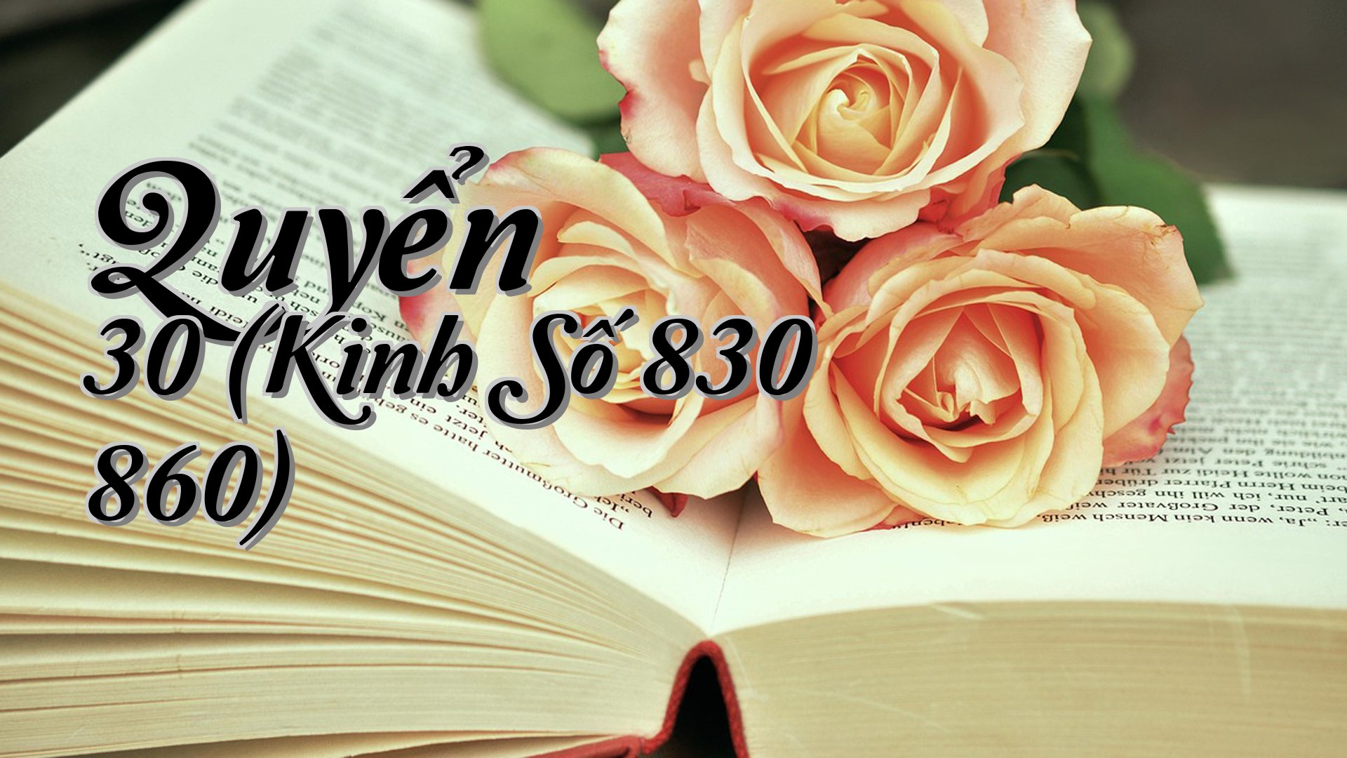cover-Quyển 30 (Kinh Số 830 860)