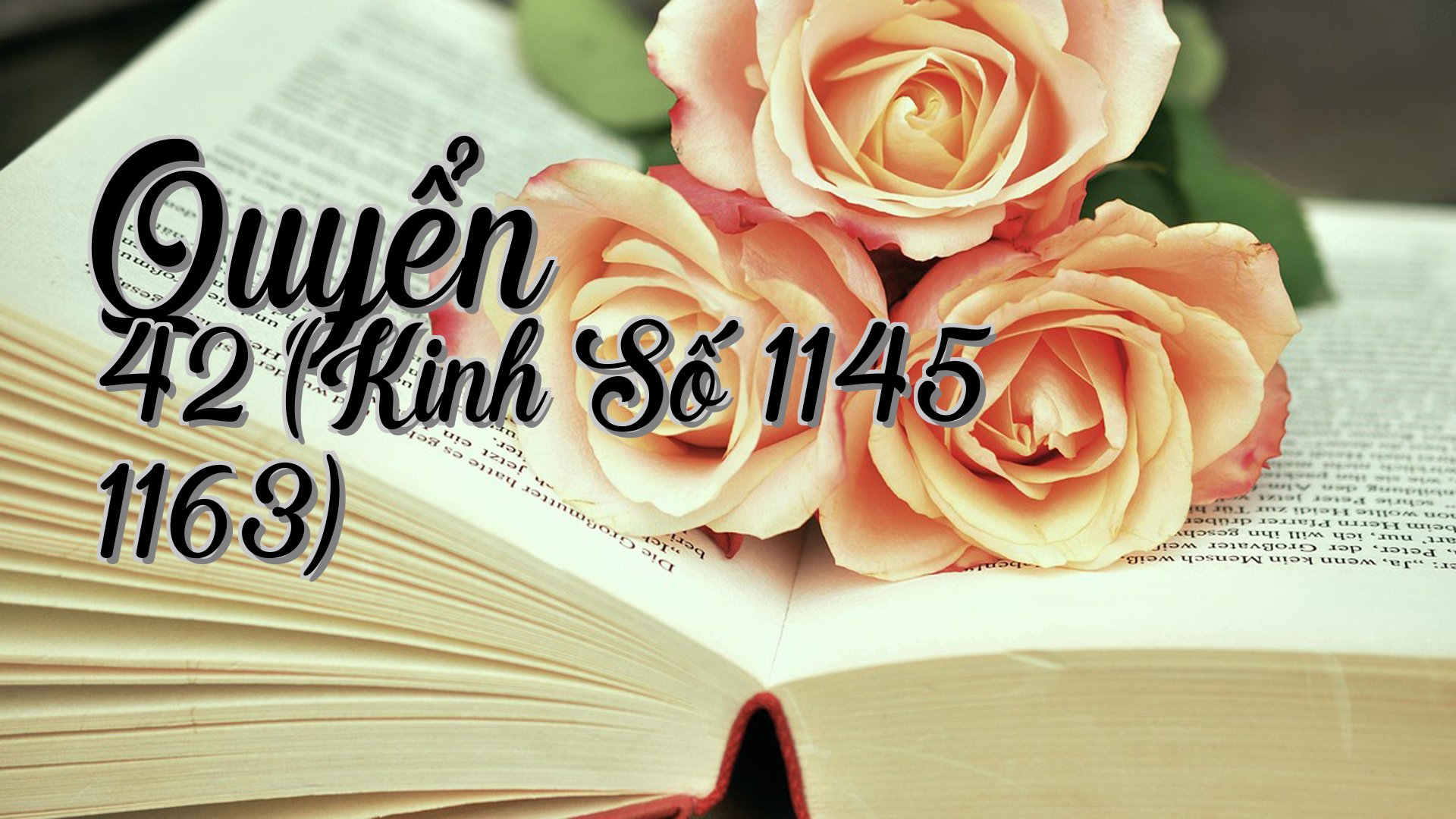 cover-Quyển 42 (Kinh Số 1145 1163)