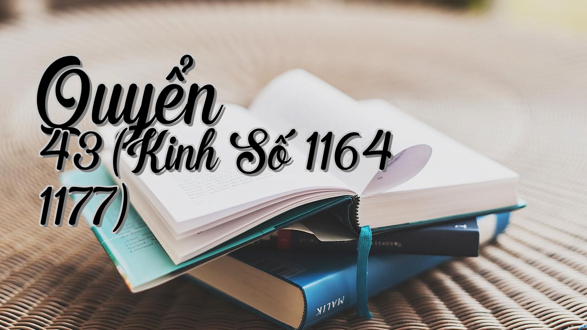 cover-Quyển 43 (Kinh Số 1164 1177)