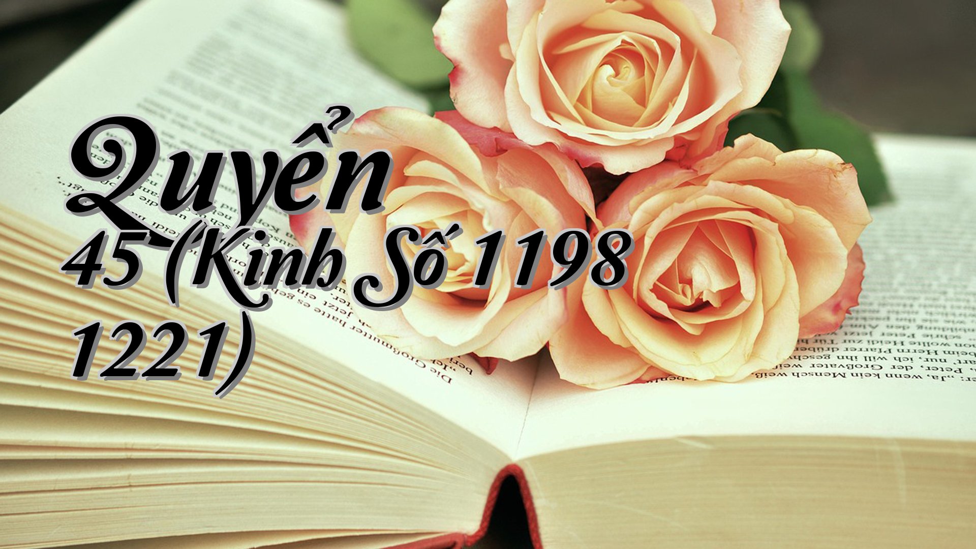 cover-Quyển 45 (Kinh Số 1198 1221)