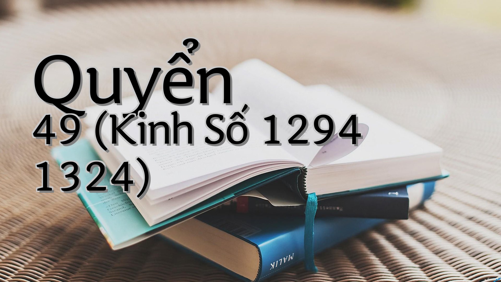 cover-Quyển 49 (Kinh Số 1294 1324)