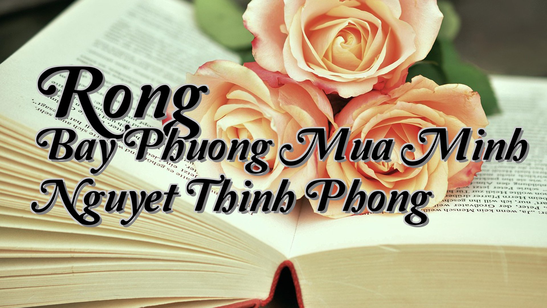 cover-Rong Bay Phuong Mua Minh Nguyet Thinh Phong