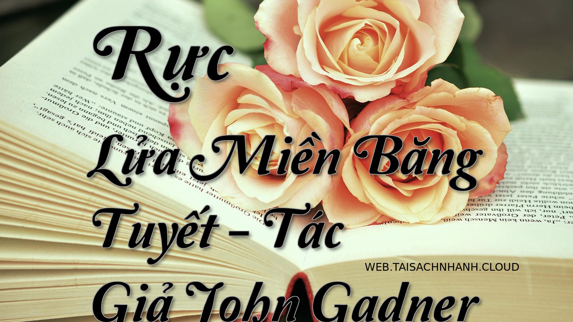 Cover Ruc Lua Mien Bang Tu.jpg