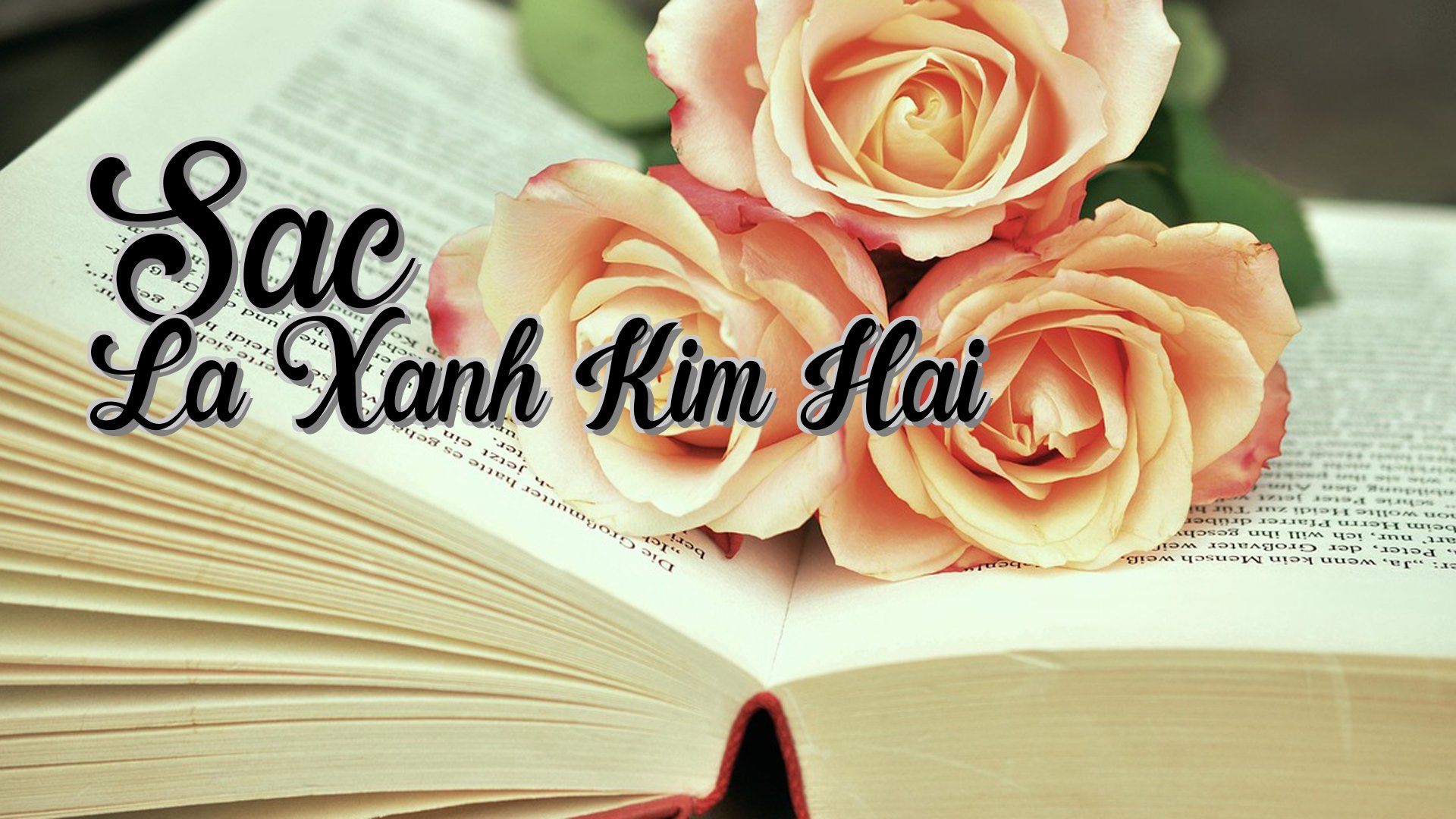 cover-Sac La Xanh Kim Hai