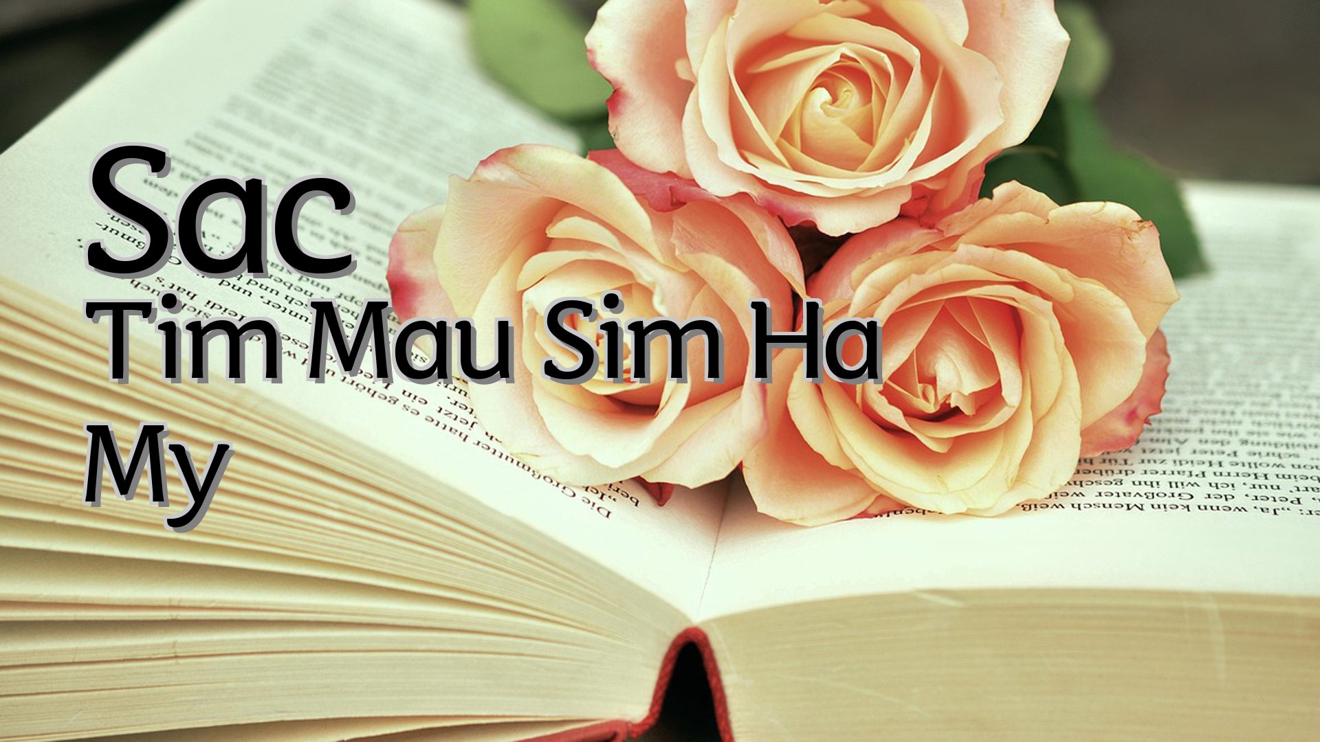 cover-Sac Tim Mau Sim Ha My