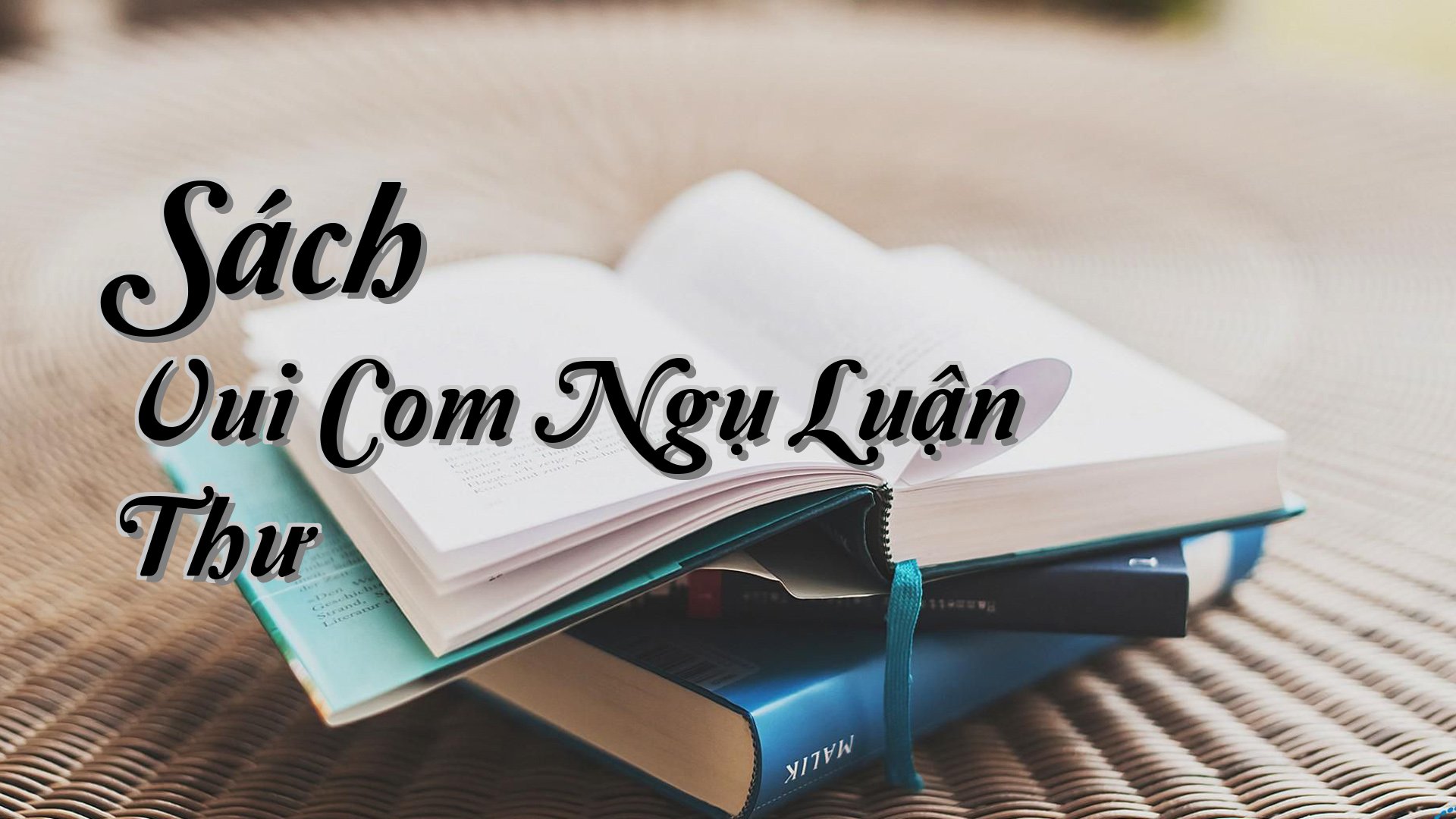 cover-Sách Vui Com Ngụ Luận Thư