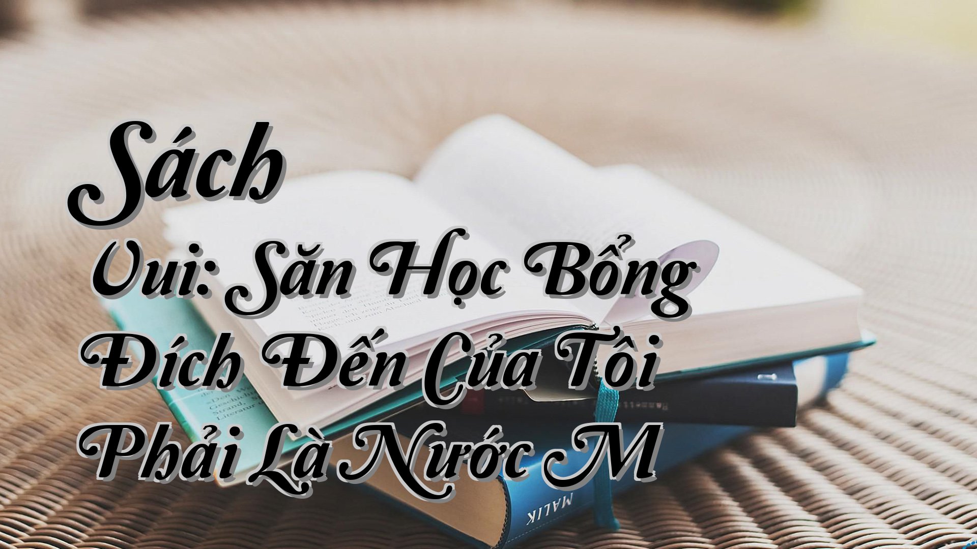 cover-Sách Vui: Săn Học Bổng Đích Đến Của Tôi Phải Là Nước M
