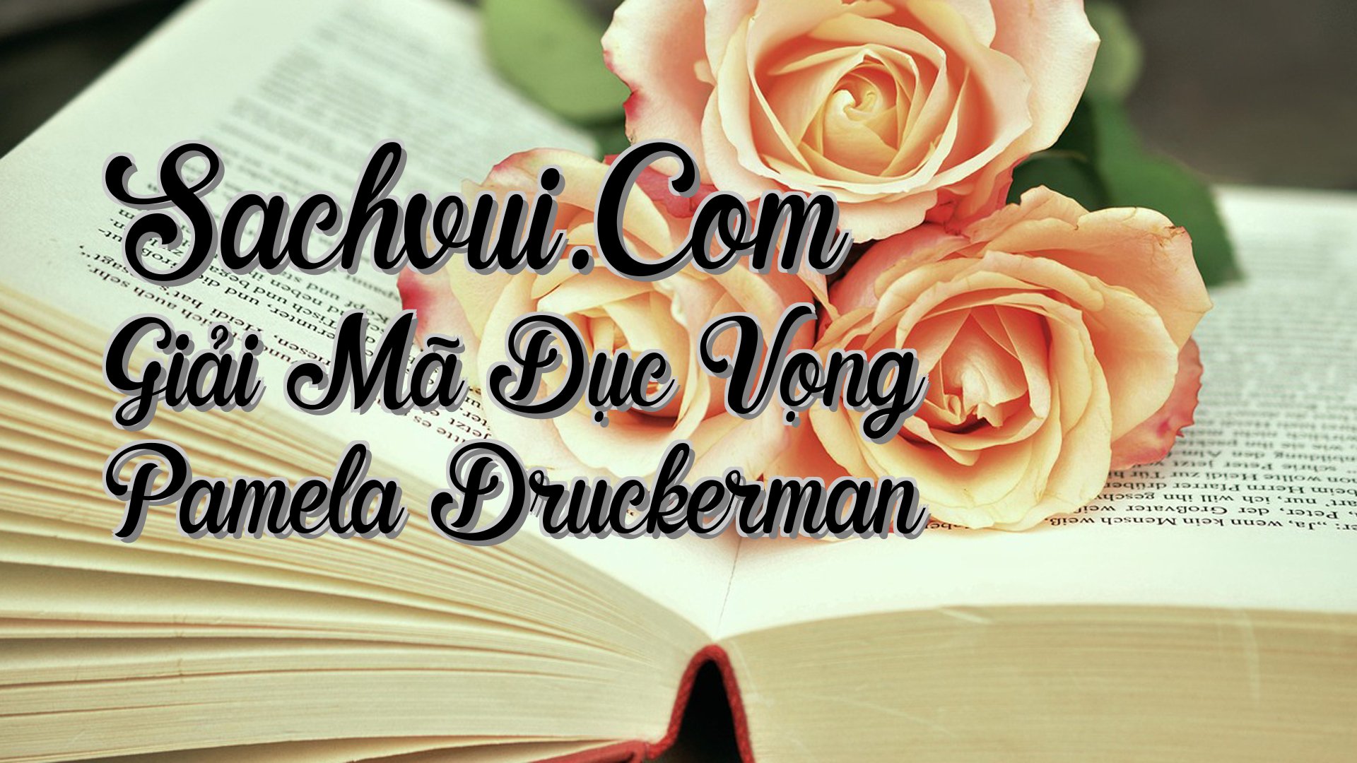 cover-Sachvui.Com Giải Mã Dục Vọng Pamela Druckerman
