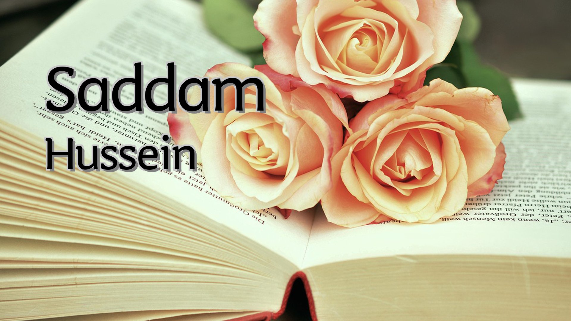 cover-Saddam Hussein