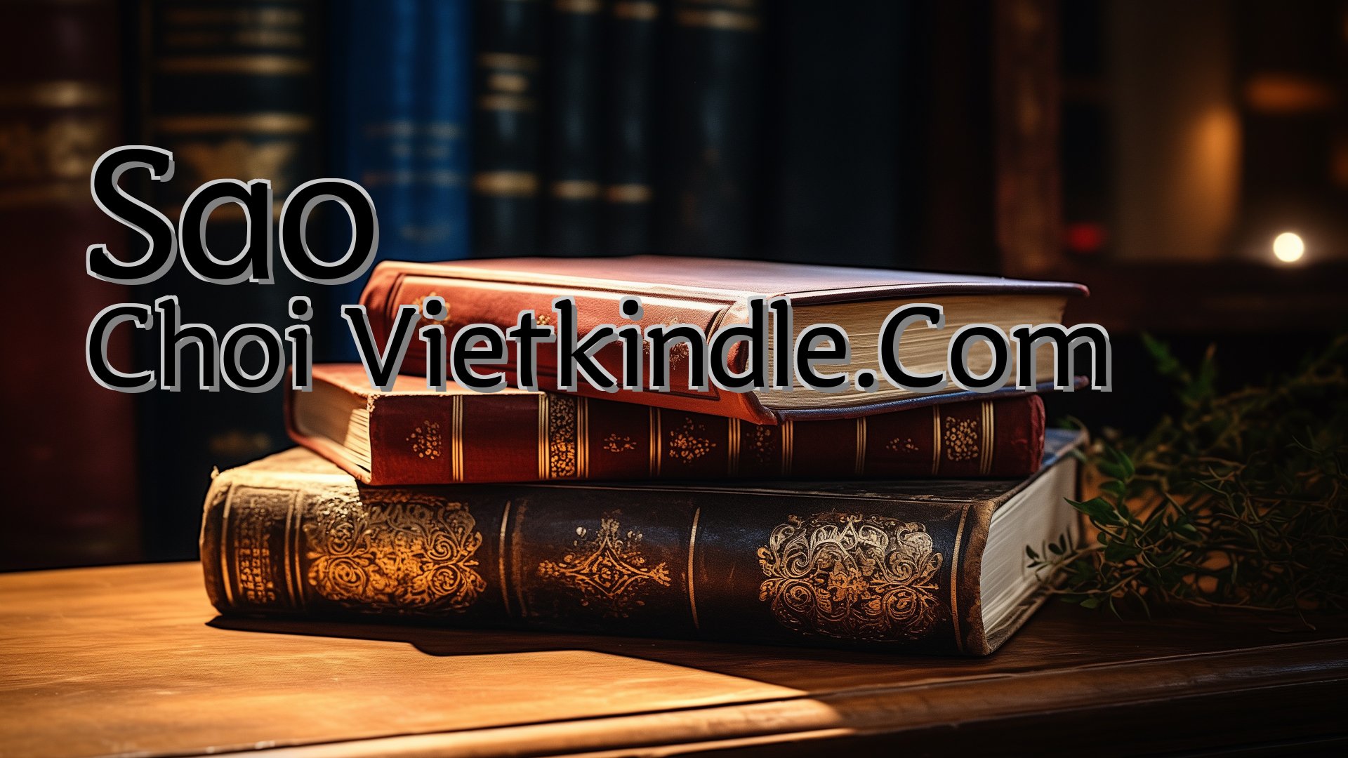 cover-Sao Choi Vietkindle.Com