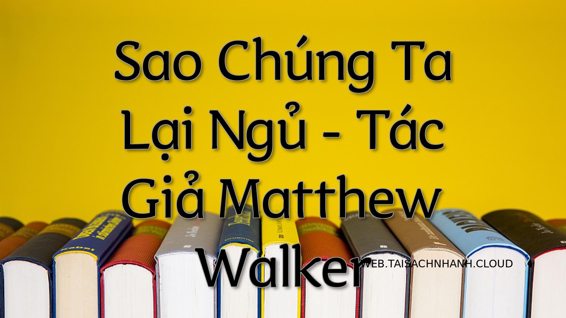 Cover Sao Chung Ta Lai Ngu.jpg