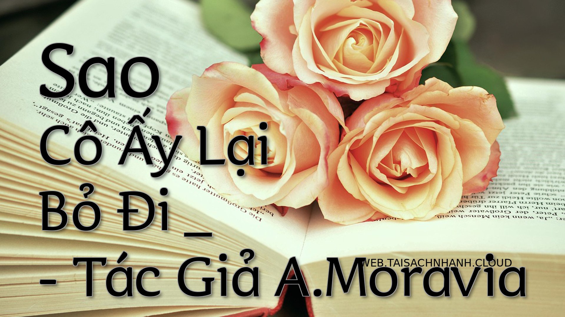 Cover Sao Co Ay Lai Bo Di .jpg