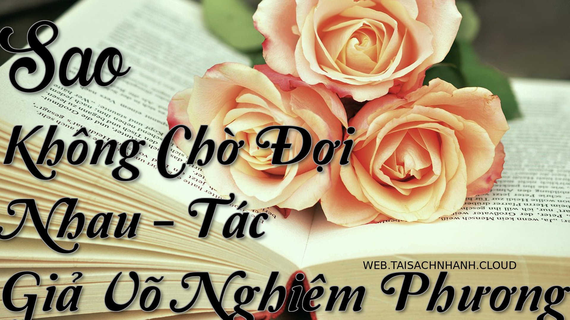 Cover Sao Khong Cho Doi Nh.jpg